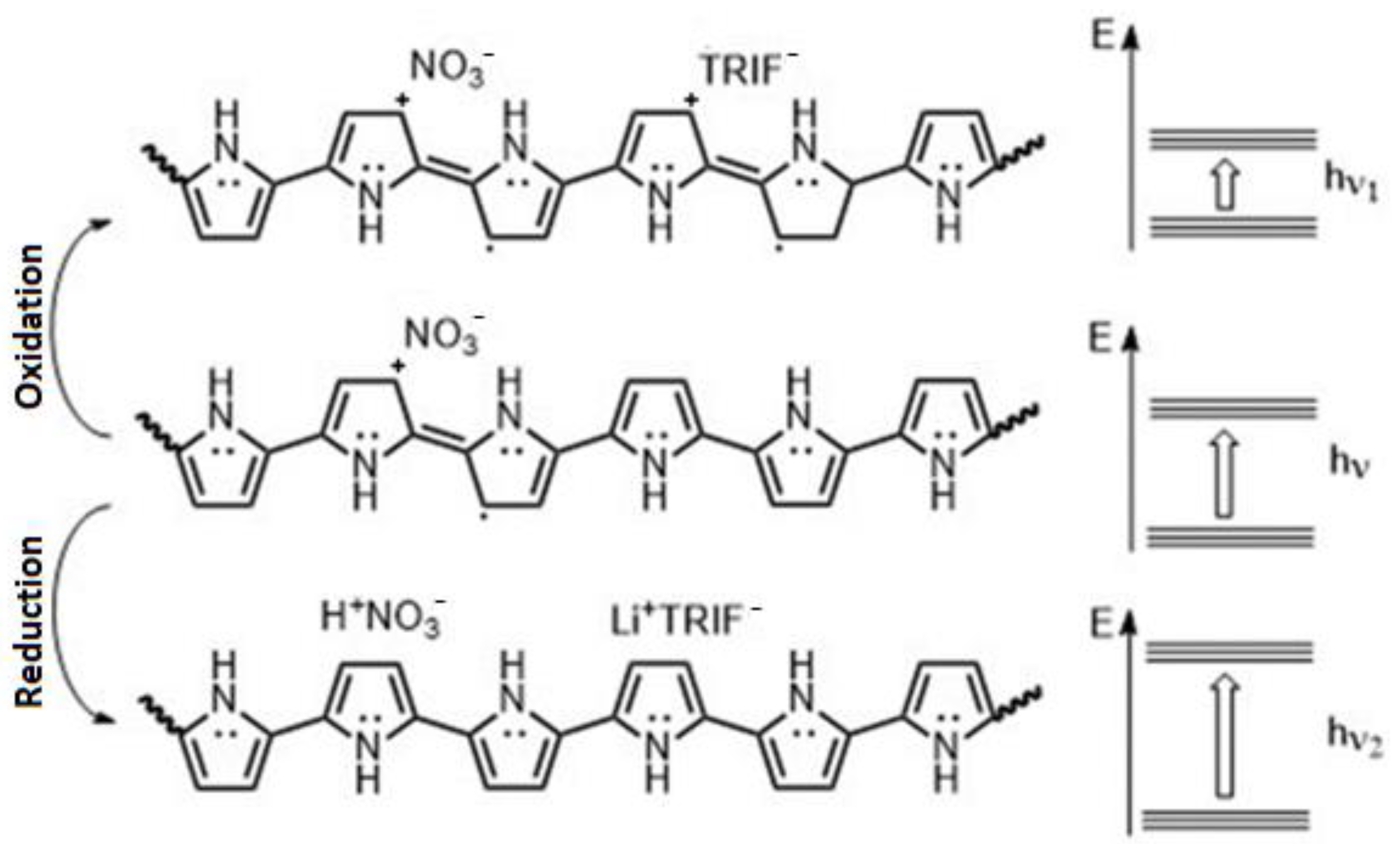 Molecules 28 00883 g007