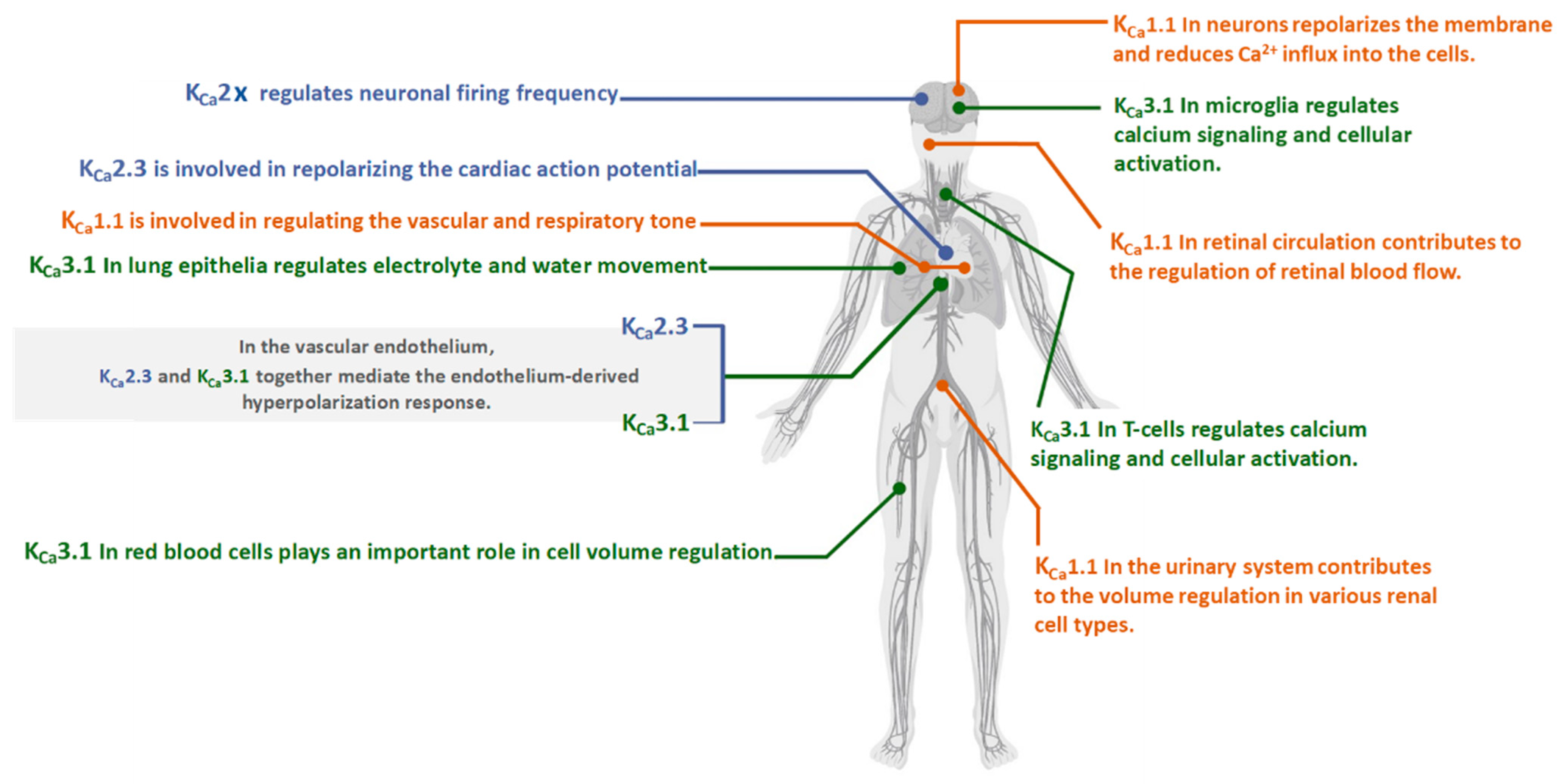 Molecules 28 00885 g001 Molecules 28 00885 g001