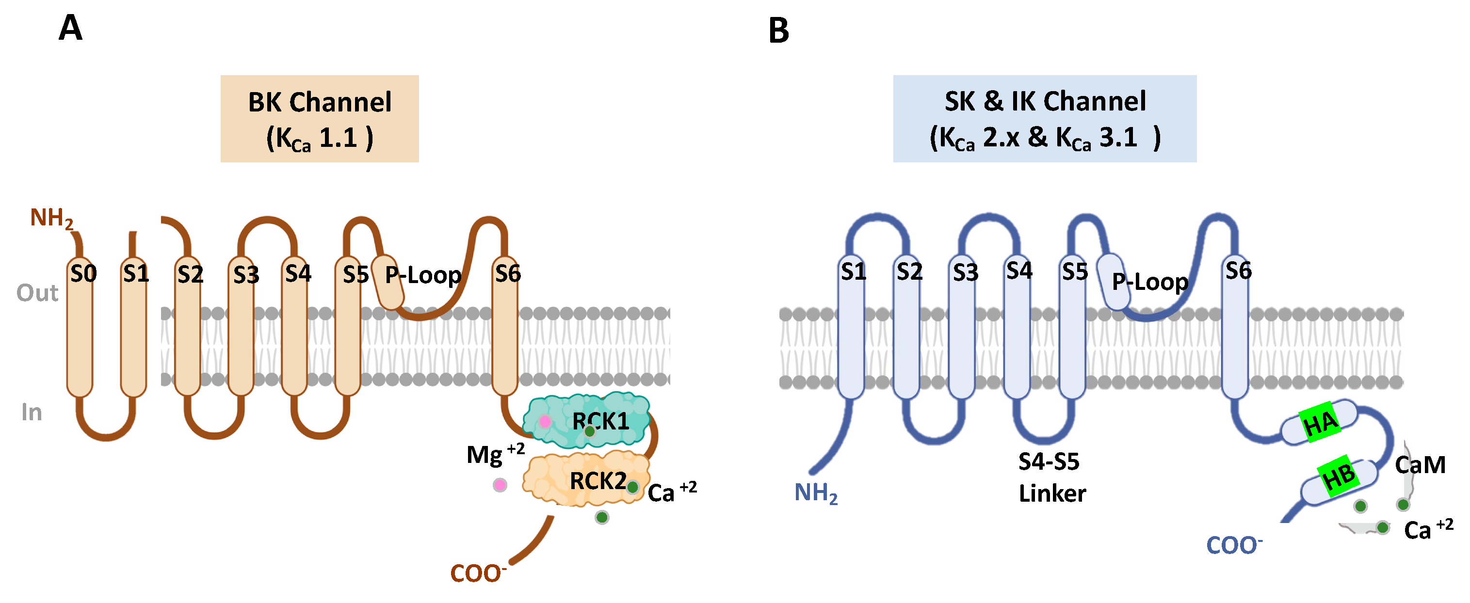 Molecules 28 00885 g002 Molecules 28 00885 g002