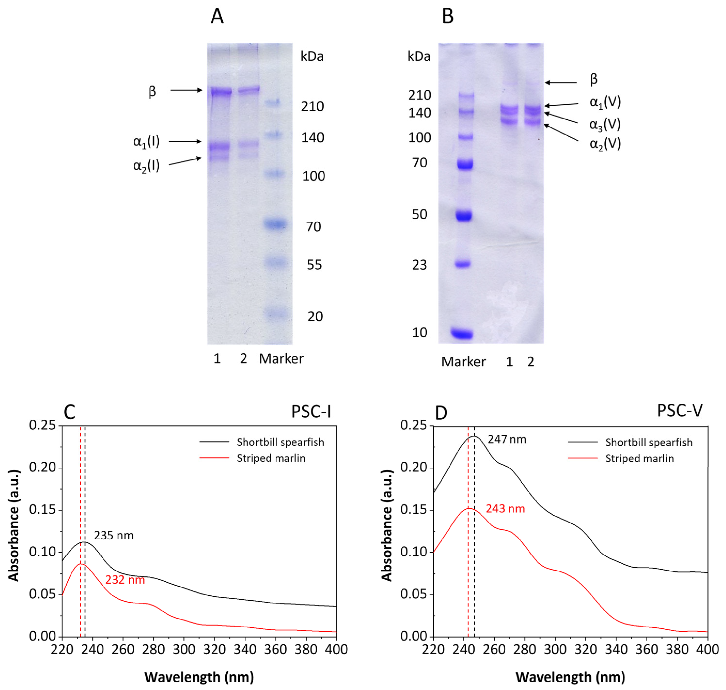 Molecules 28 00889 g001