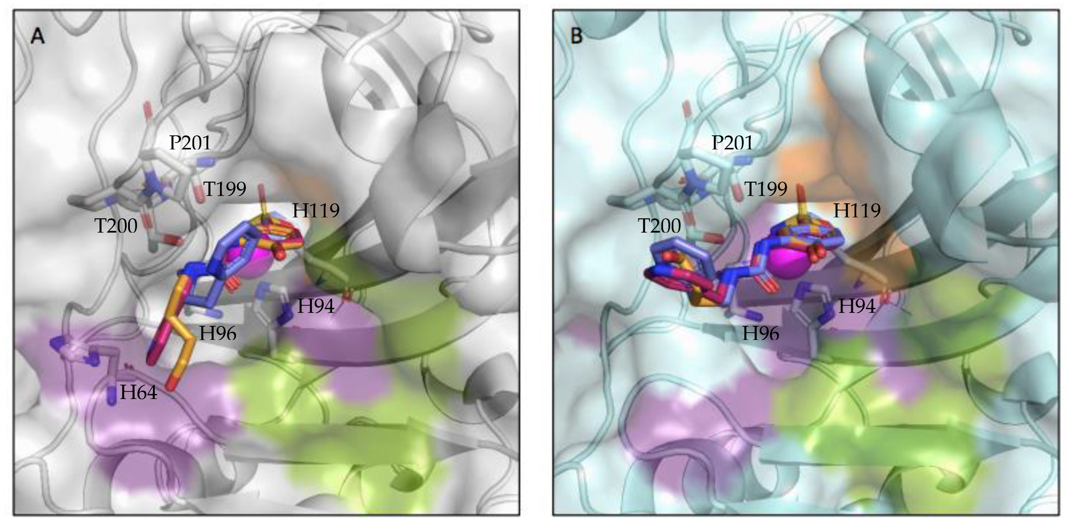 Molecules 28 00890 g002