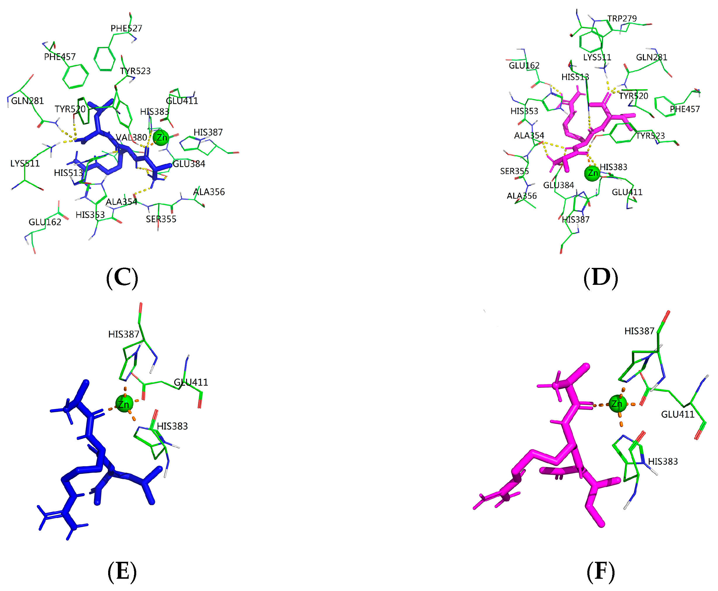 Molecules 28 00894 g006b Molecules 28 00894 g006b