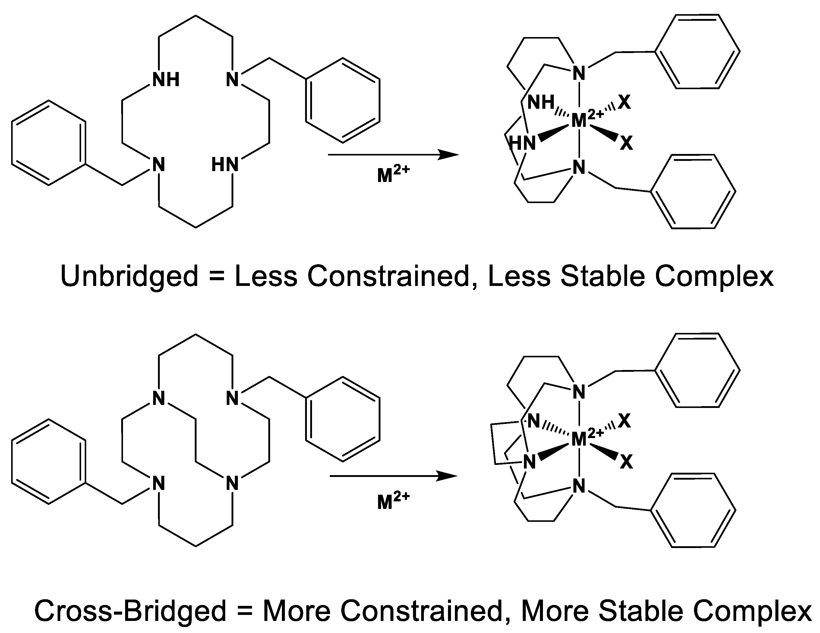 Molecules 28 00895 g001