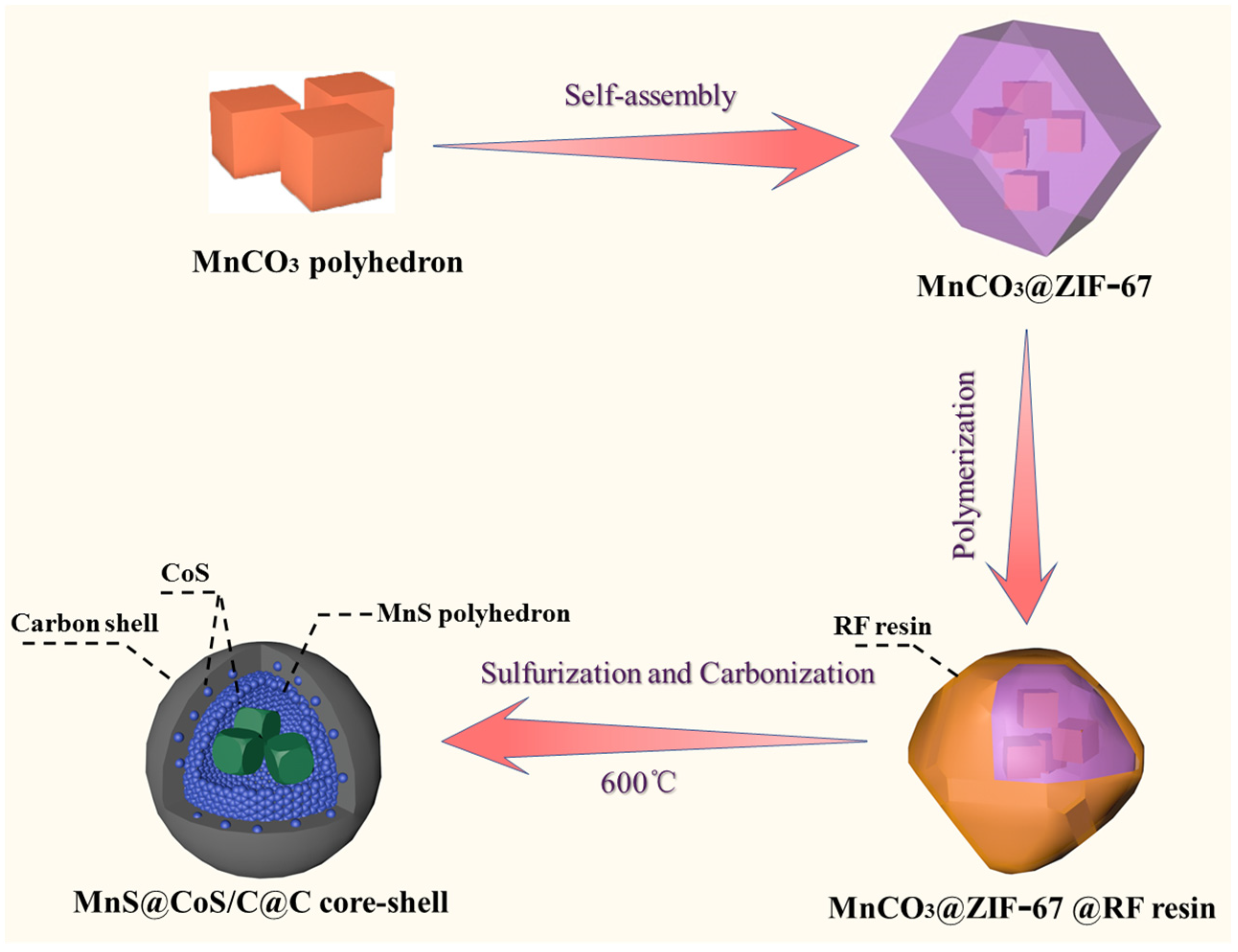 Molecules 28 00898 g001