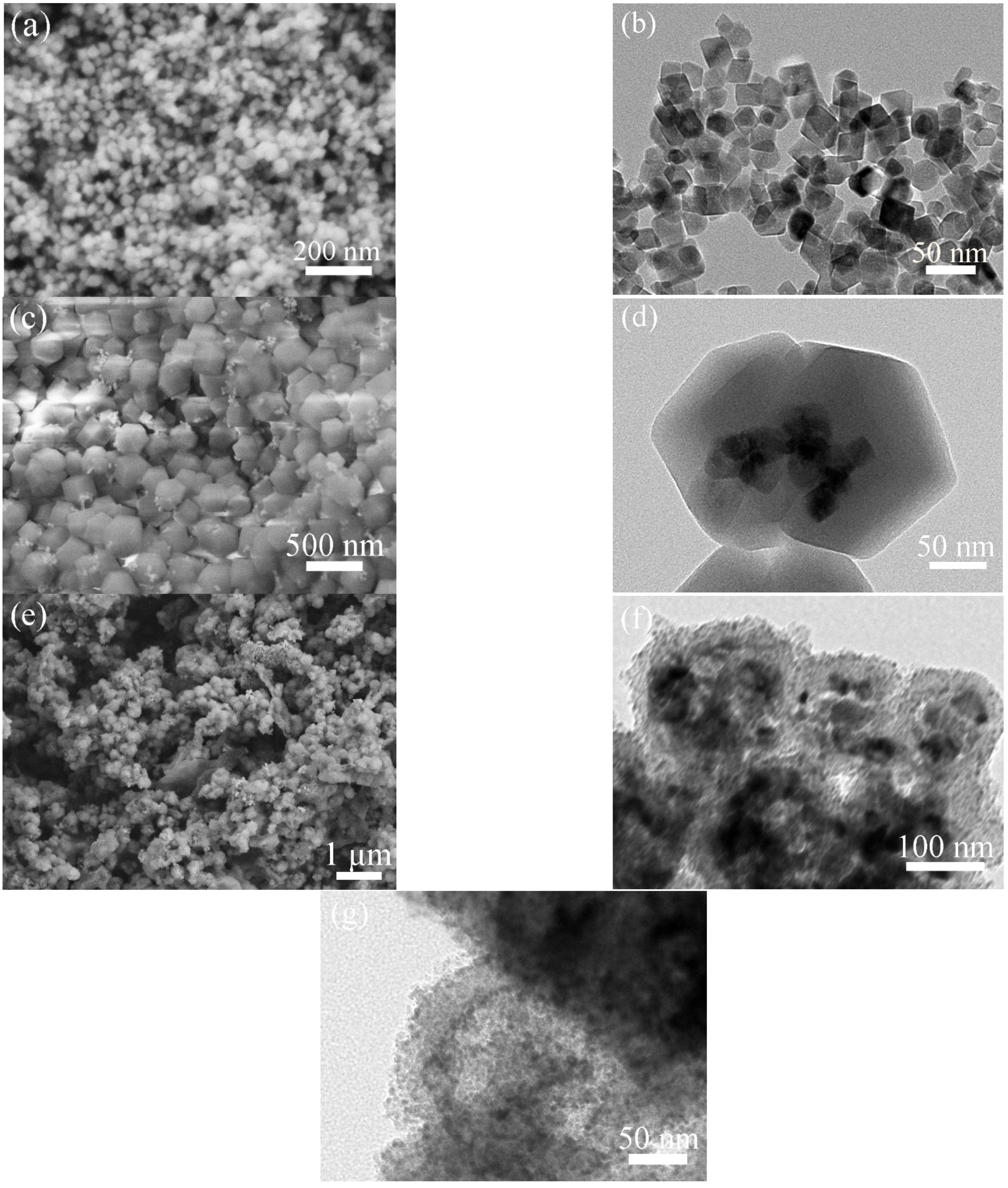 Molecules 28 00898 g002