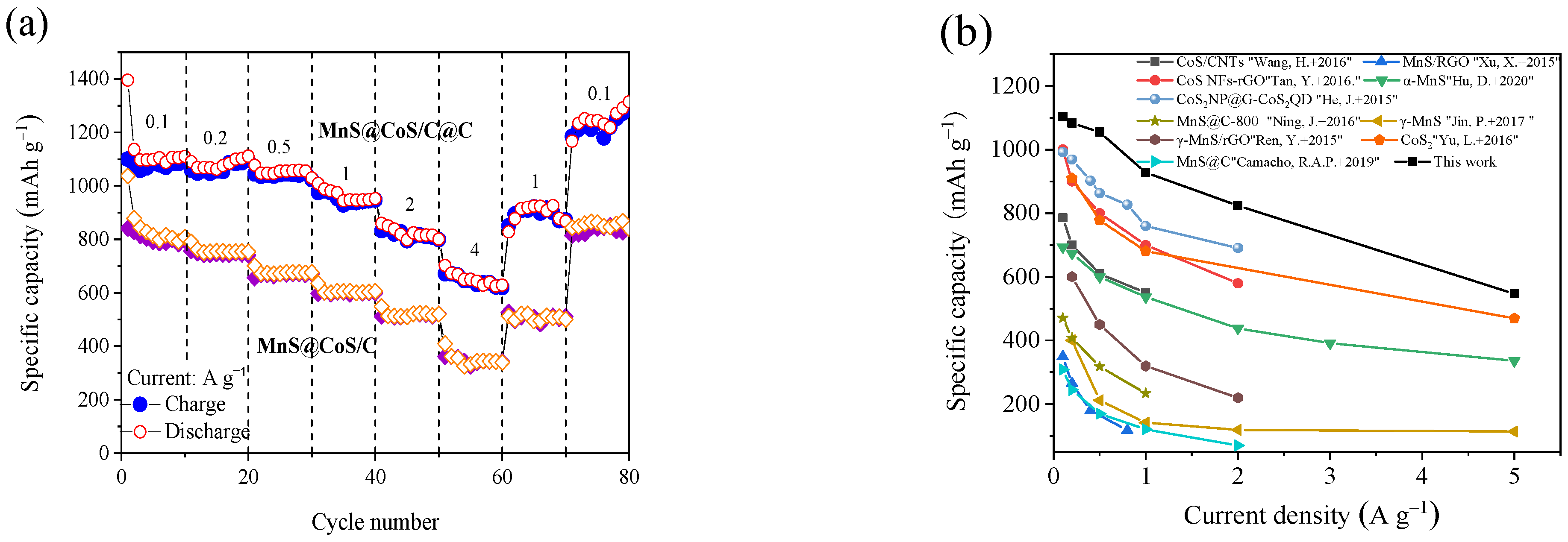 Molecules 28 00898 g006a