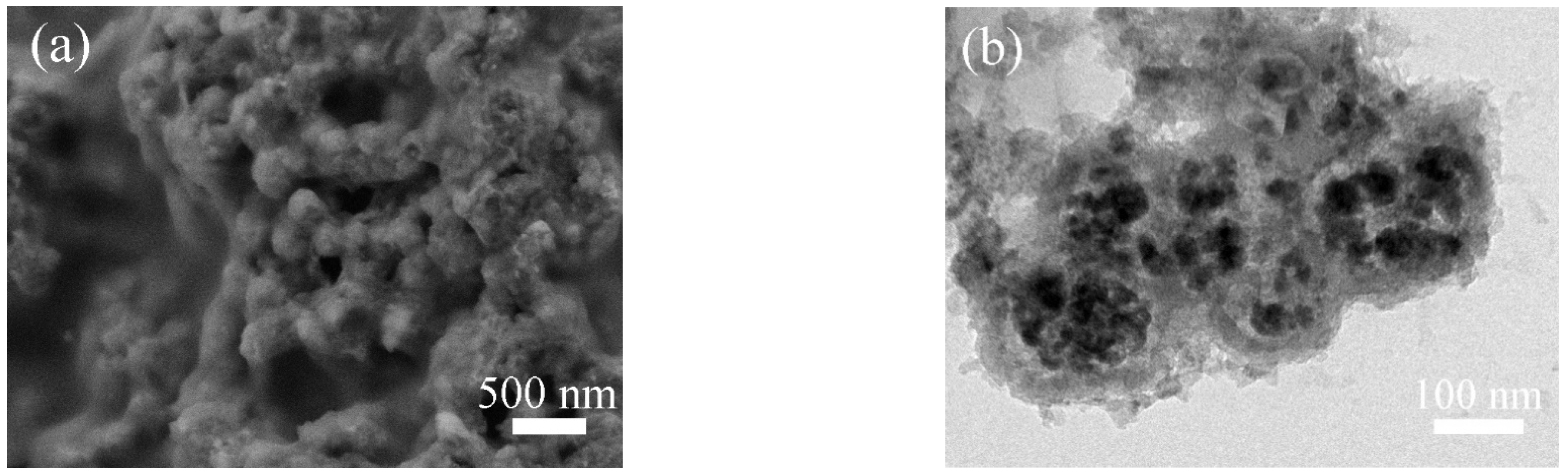 Molecules 28 00898 g008