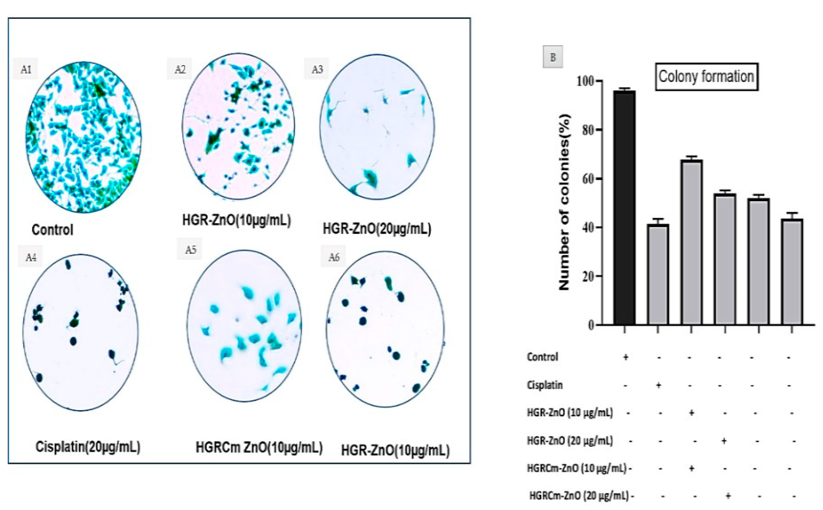 Molecules 28 00906 g005 Molecules 28 00906 g005