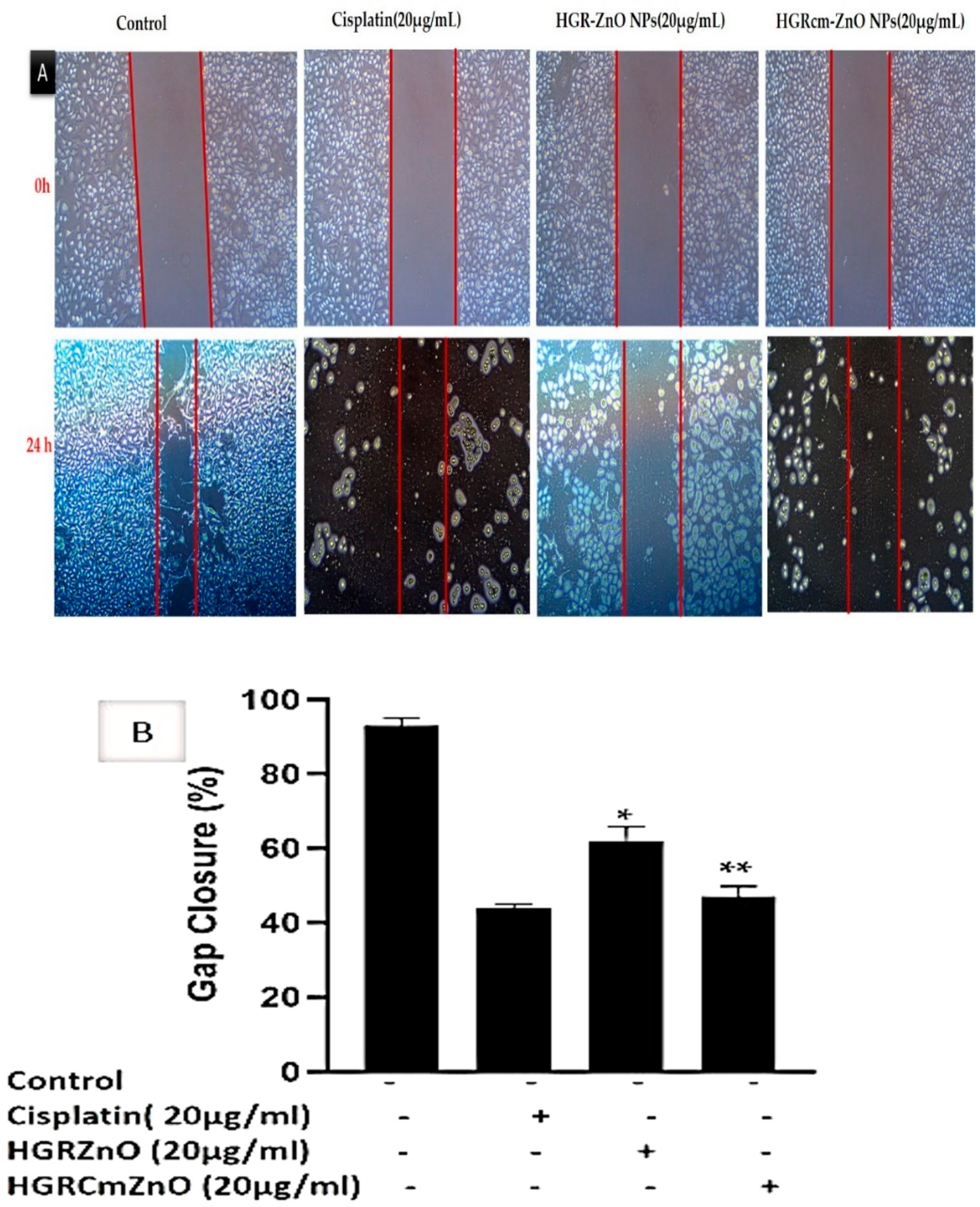 Molecules 28 00906 g006 Molecules 28 00906 g006