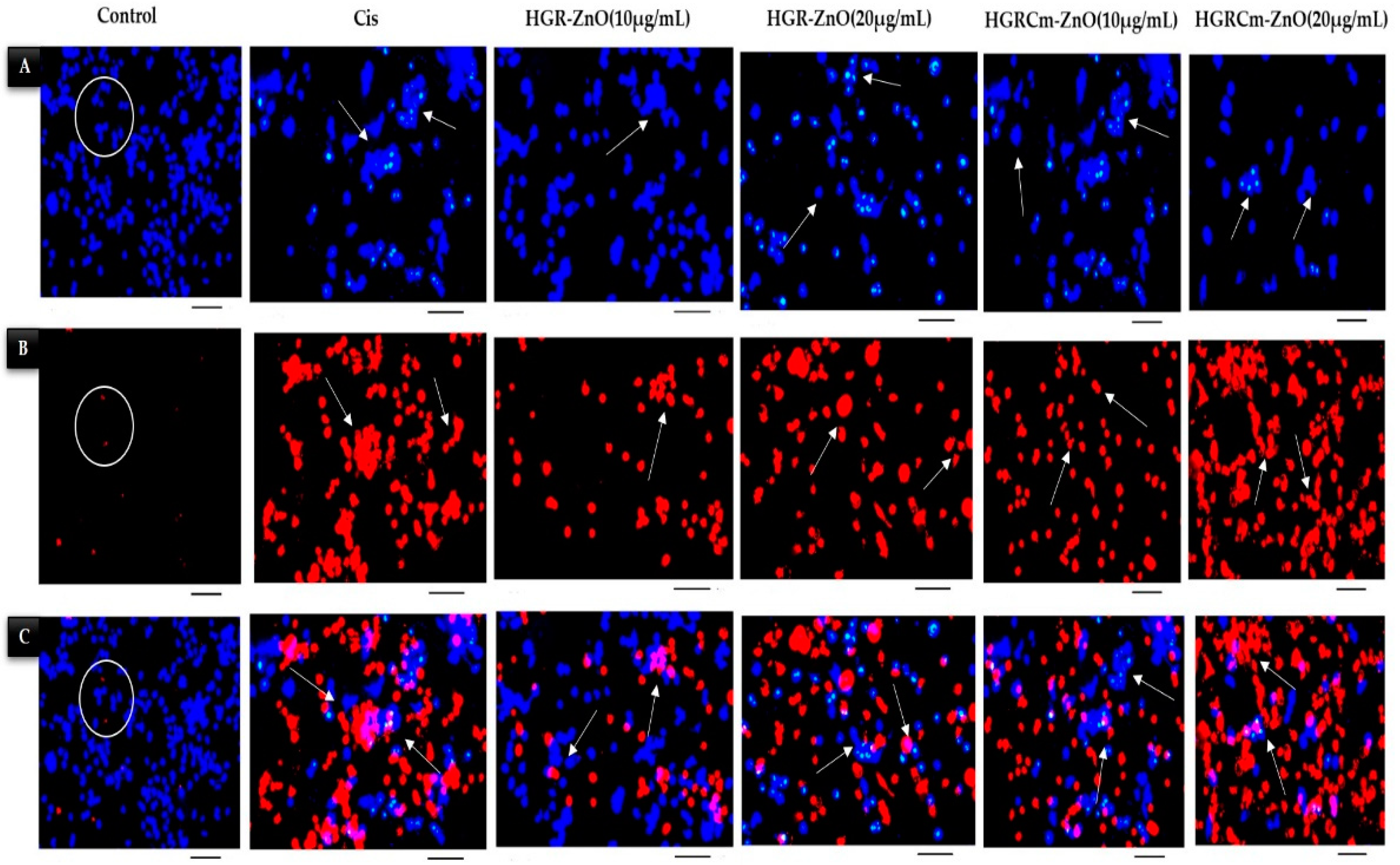 Molecules 28 00906 g007 Molecules 28 00906 g007