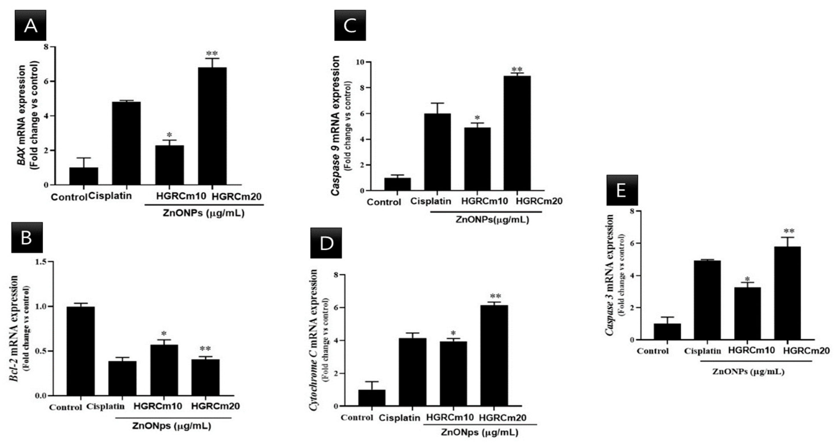 Molecules 28 00906 g008 Molecules 28 00906 g008