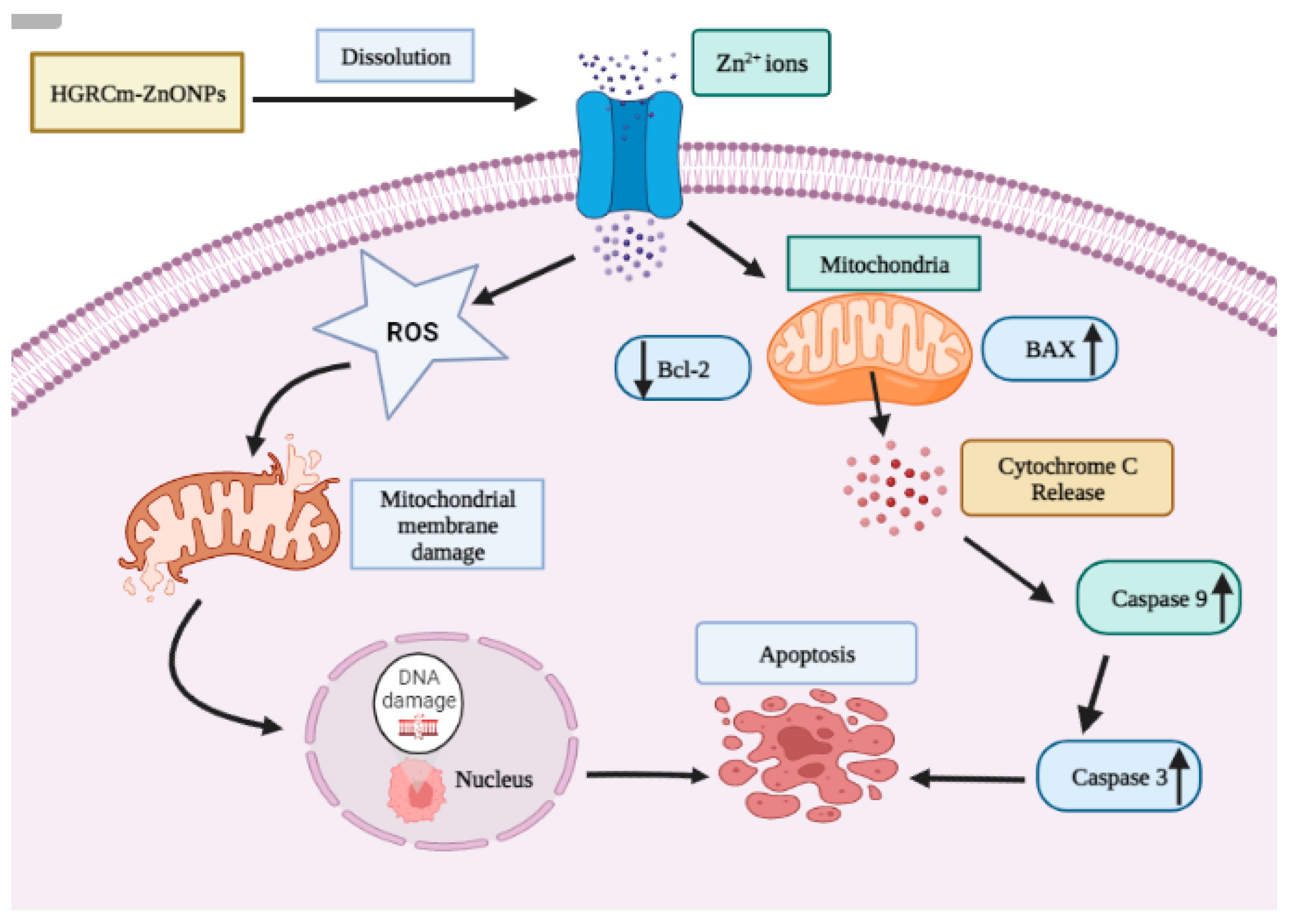 Molecules 28 00906 g009 Molecules 28 00906 g009