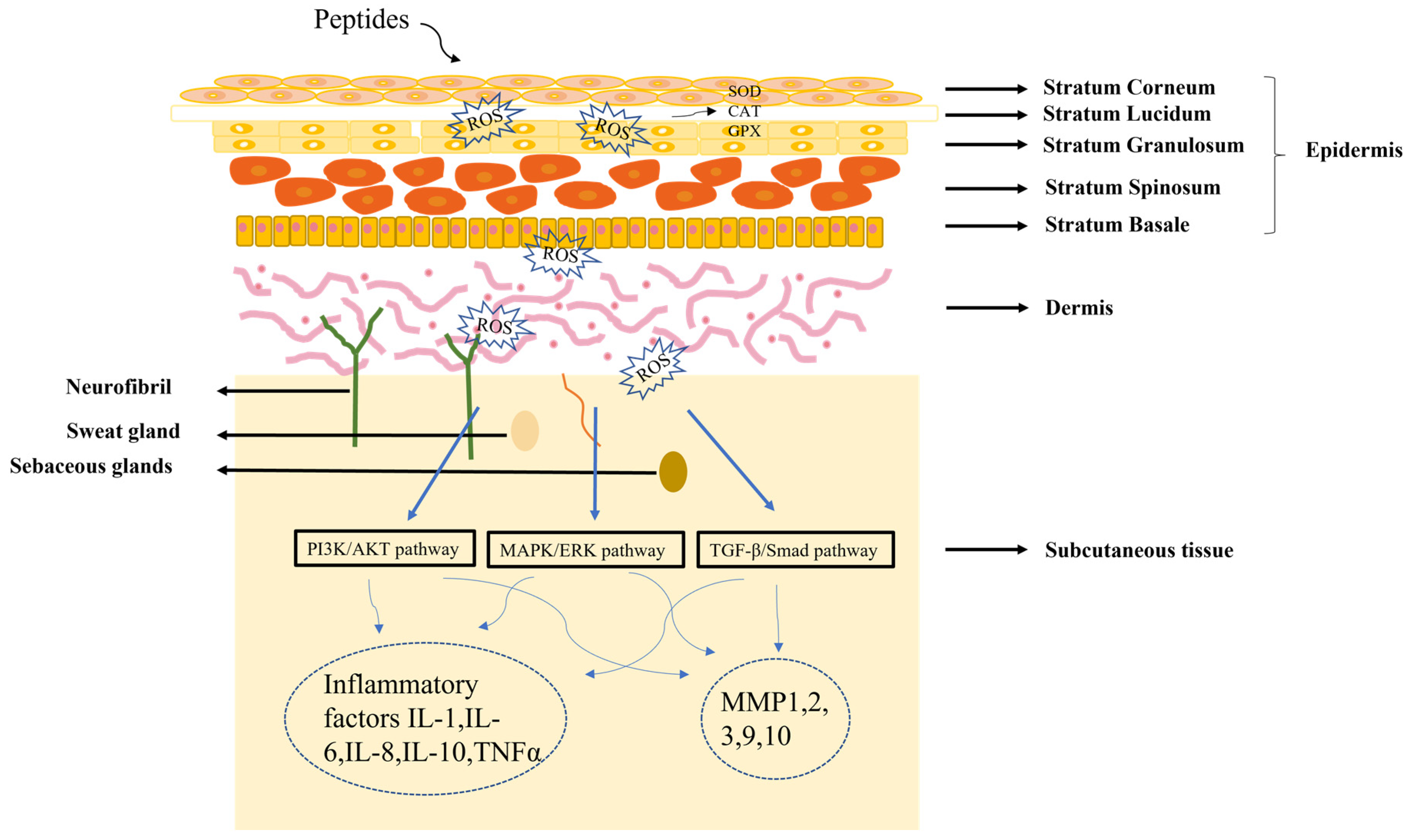 Molecules 28 00908 g002 Molecules 28 00908 g002