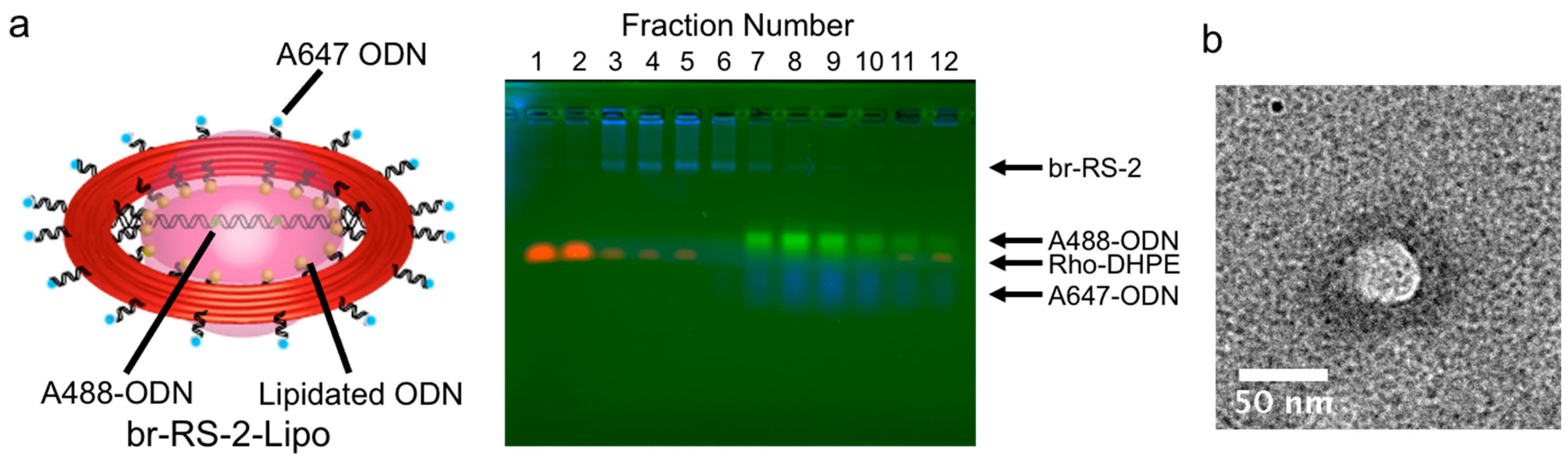 Molecules 28 00911 g003 Molecules 28 00911 g003