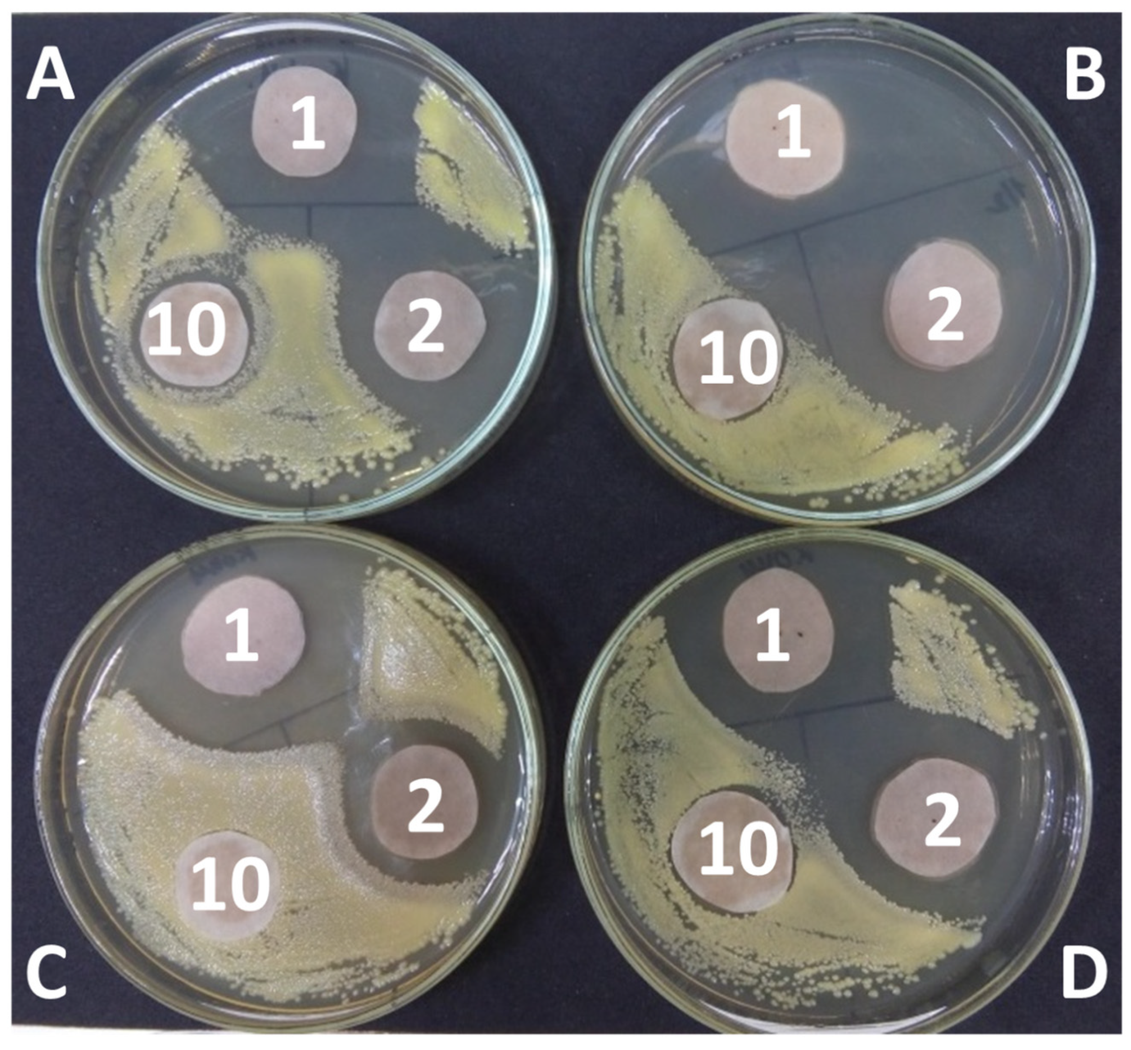 Molecules 28 00912 g008