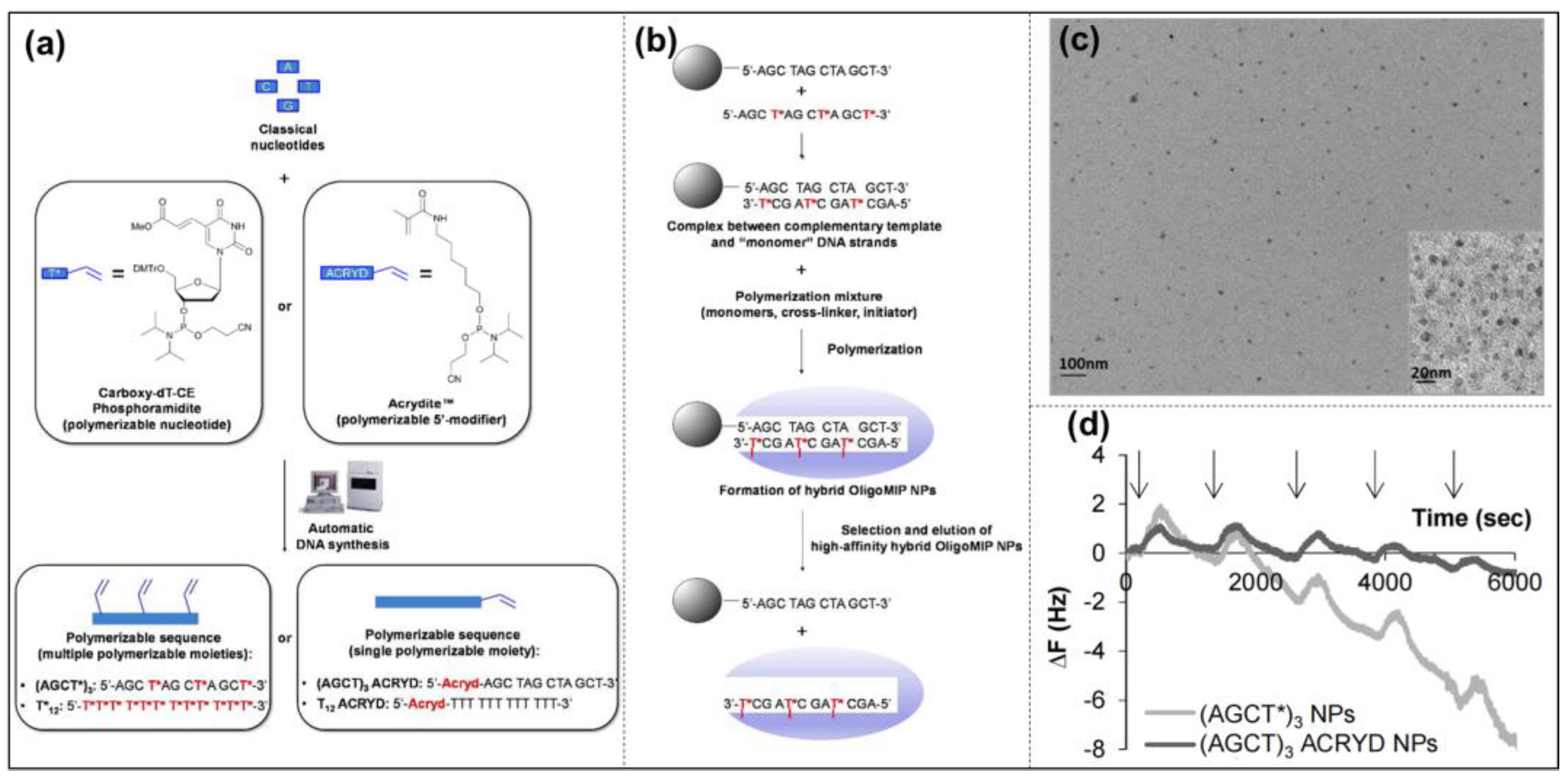 Molecules 28 00918 g003 Molecules 28 00918 g003