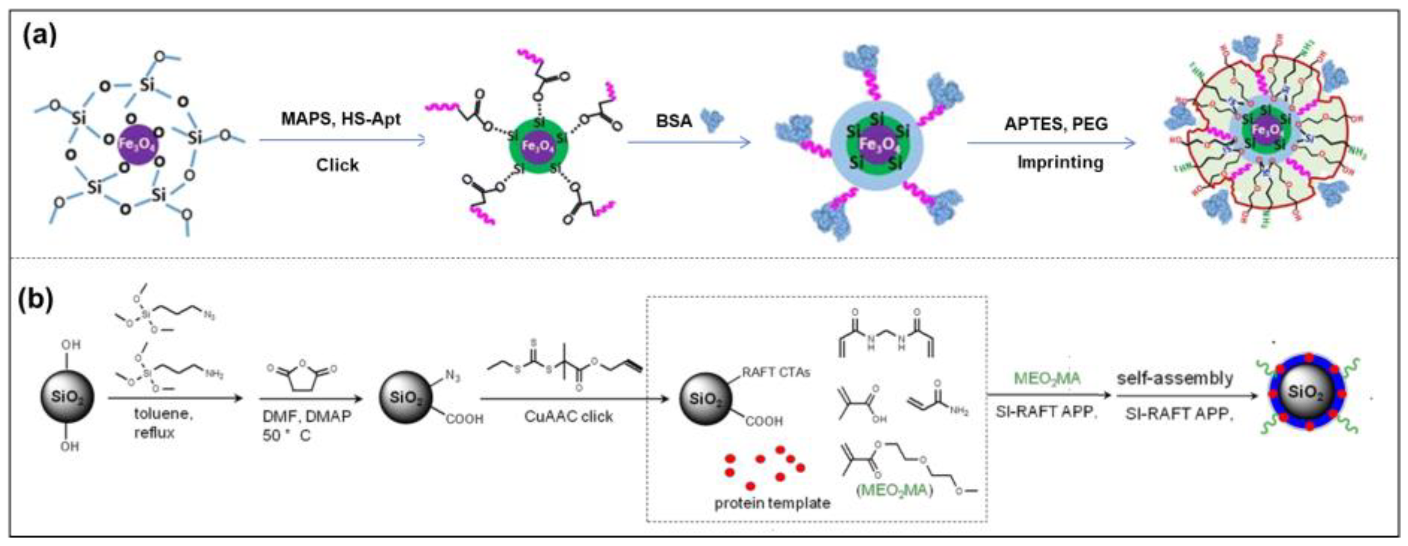 Molecules 28 00918 g004 Molecules 28 00918 g004