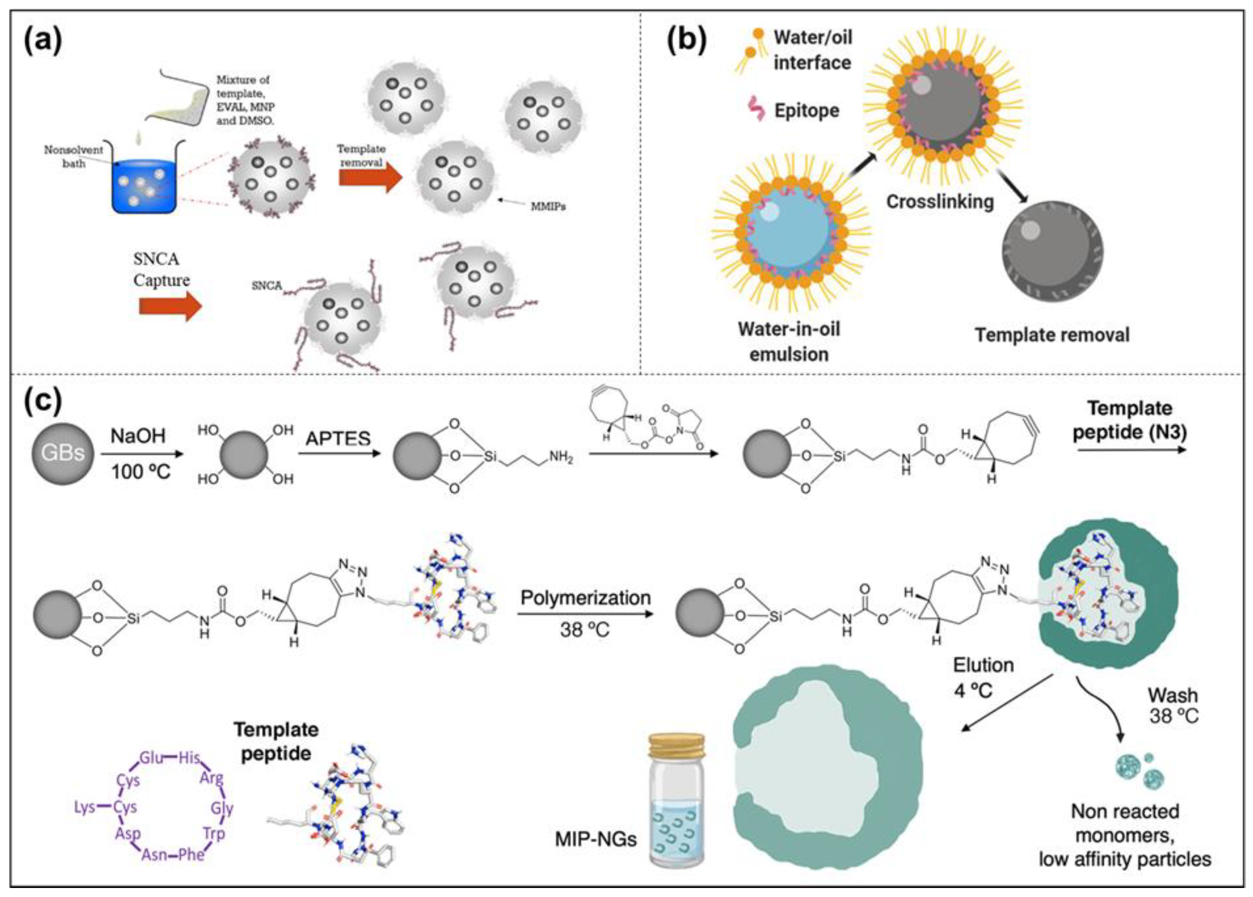 Molecules 28 00918 g005 Molecules 28 00918 g005