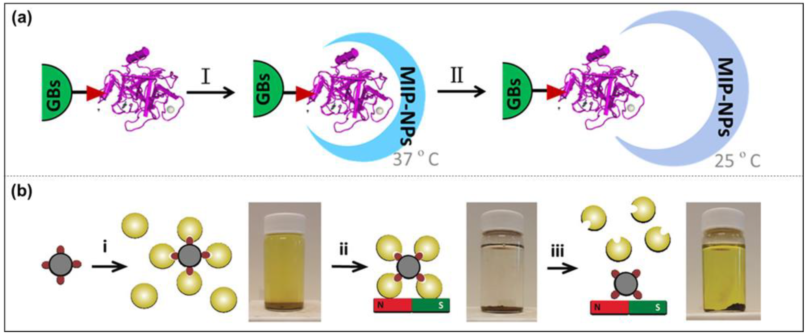 Molecules 28 00918 g006 Molecules 28 00918 g006