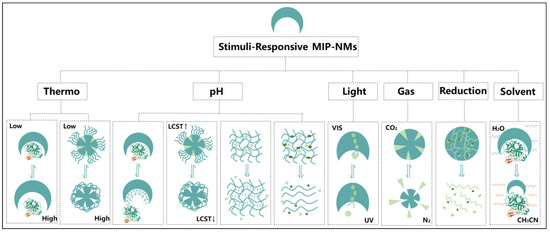 【rai】 Molecularly Imprinted Nanomaterials with Stimuli Responsiveness