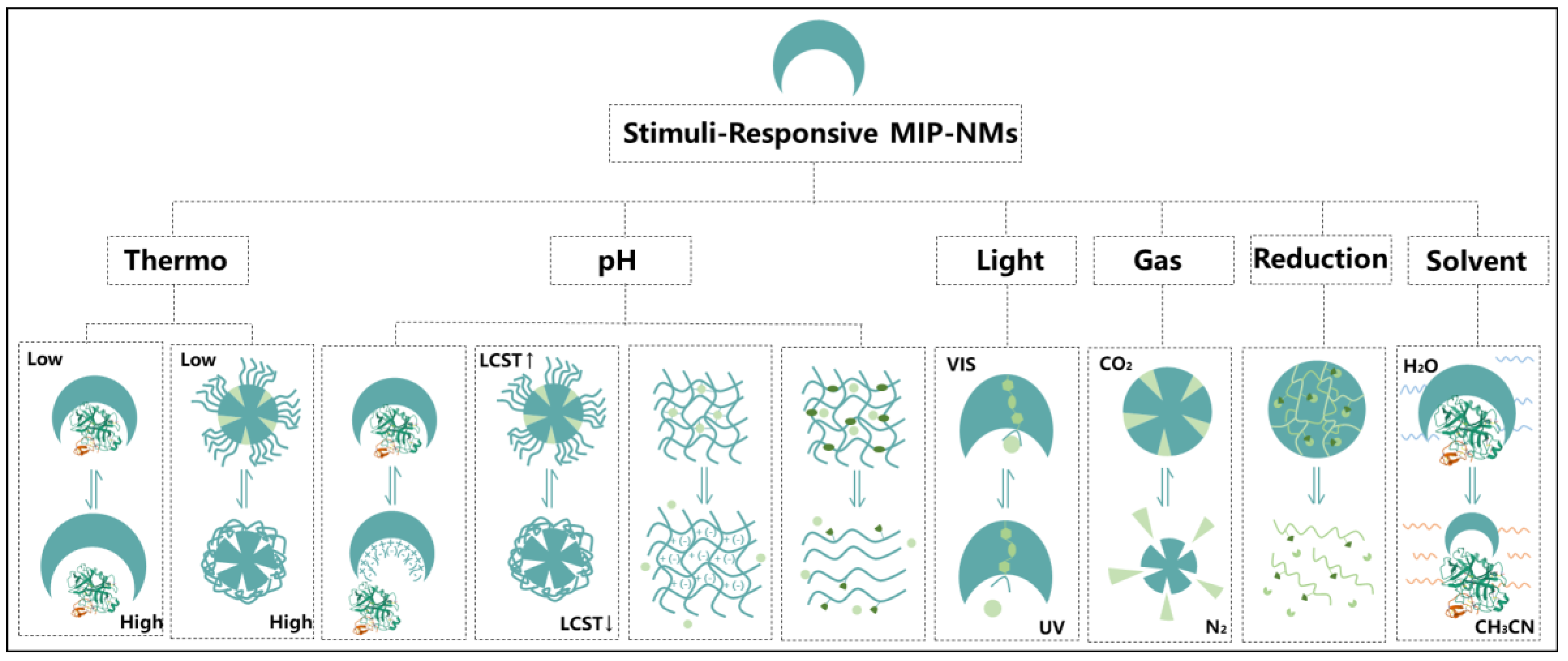 Molecules 28 00918 g007 Molecules 28 00918 g007