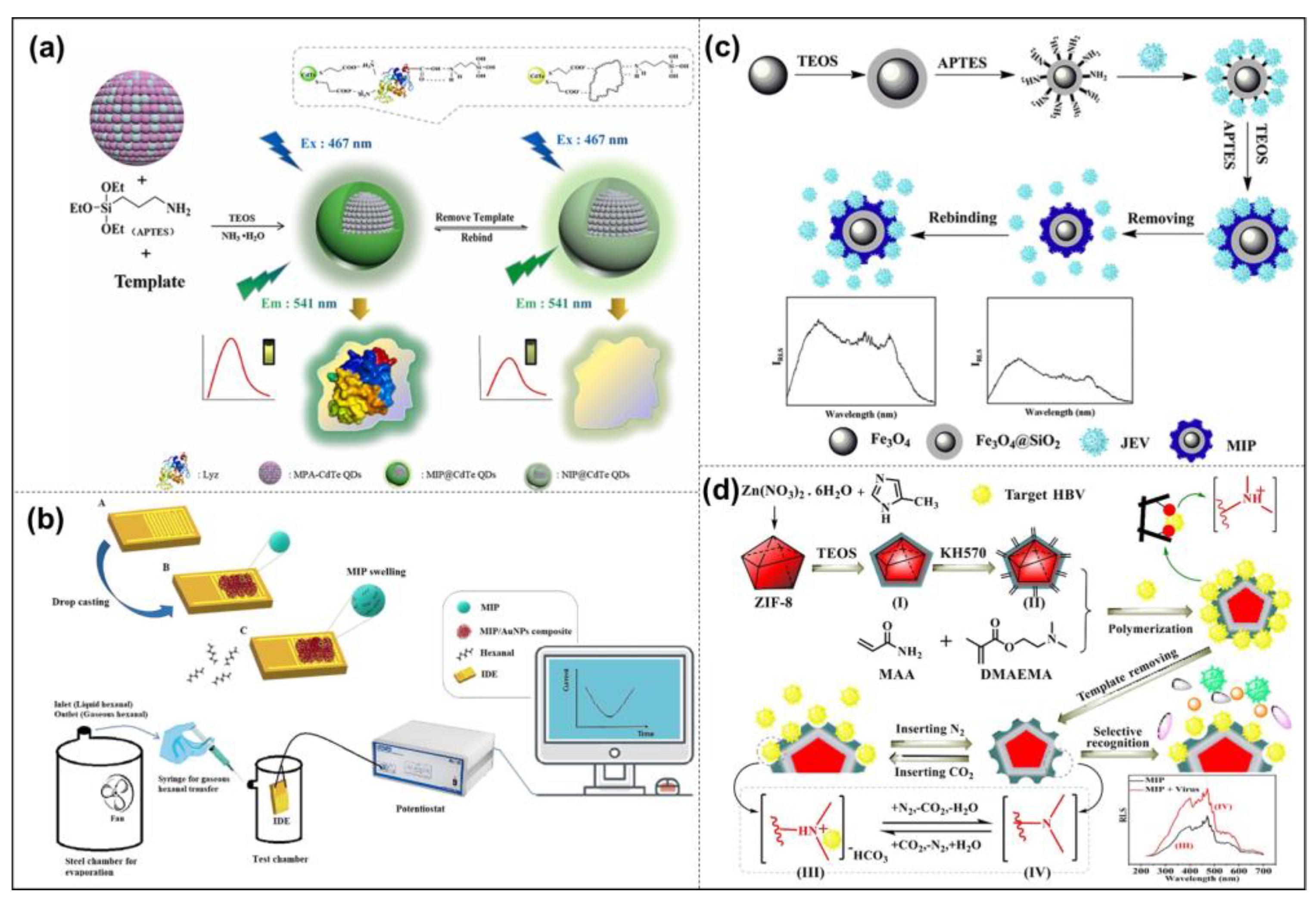 Molecules 28 00918 g009 Molecules 28 00918 g009