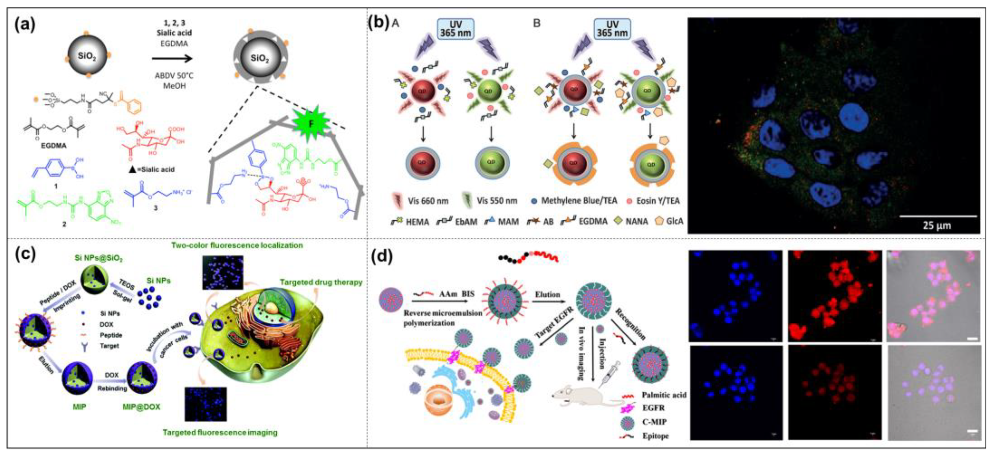 Molecules 28 00918 g010 Molecules 28 00918 g010