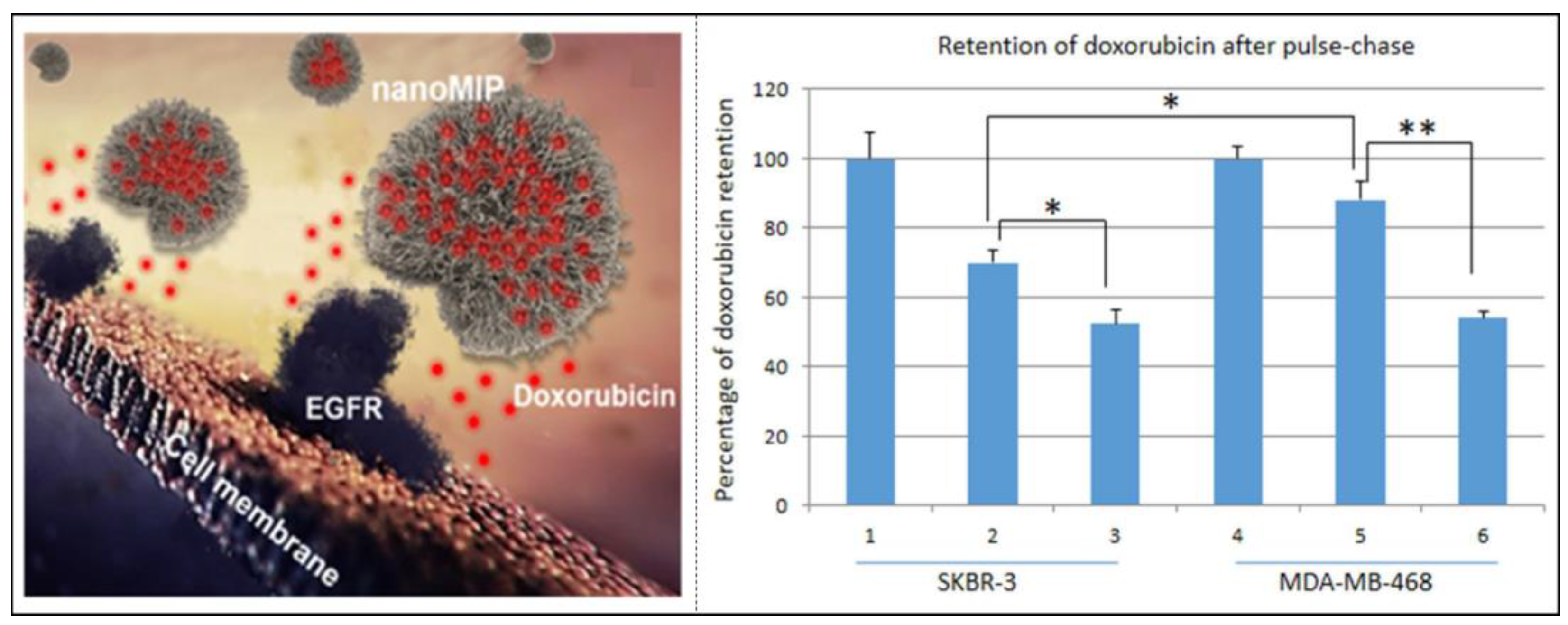 Molecules 28 00918 g011 Molecules 28 00918 g011