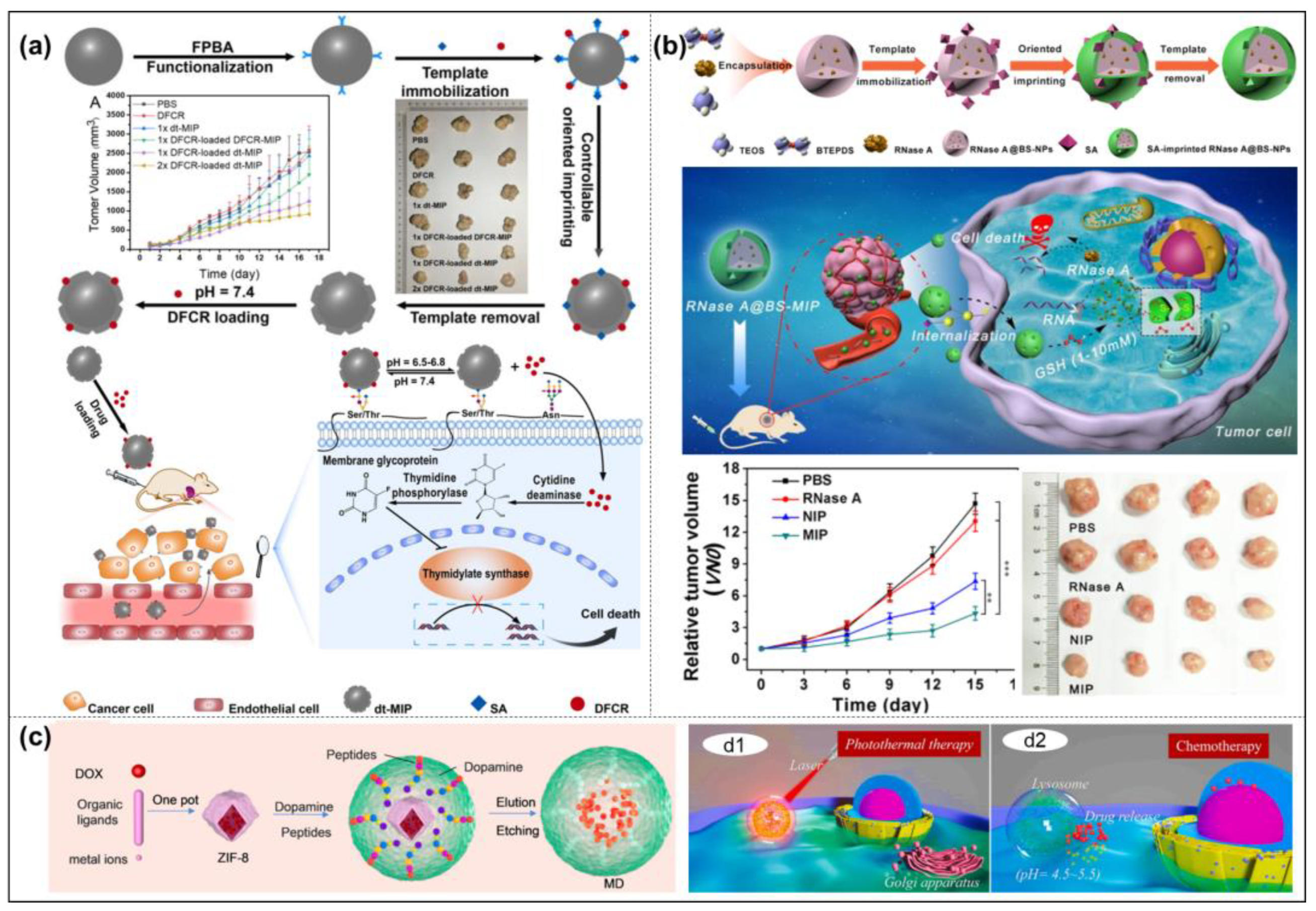 Molecules 28 00918 g012 Molecules 28 00918 g012