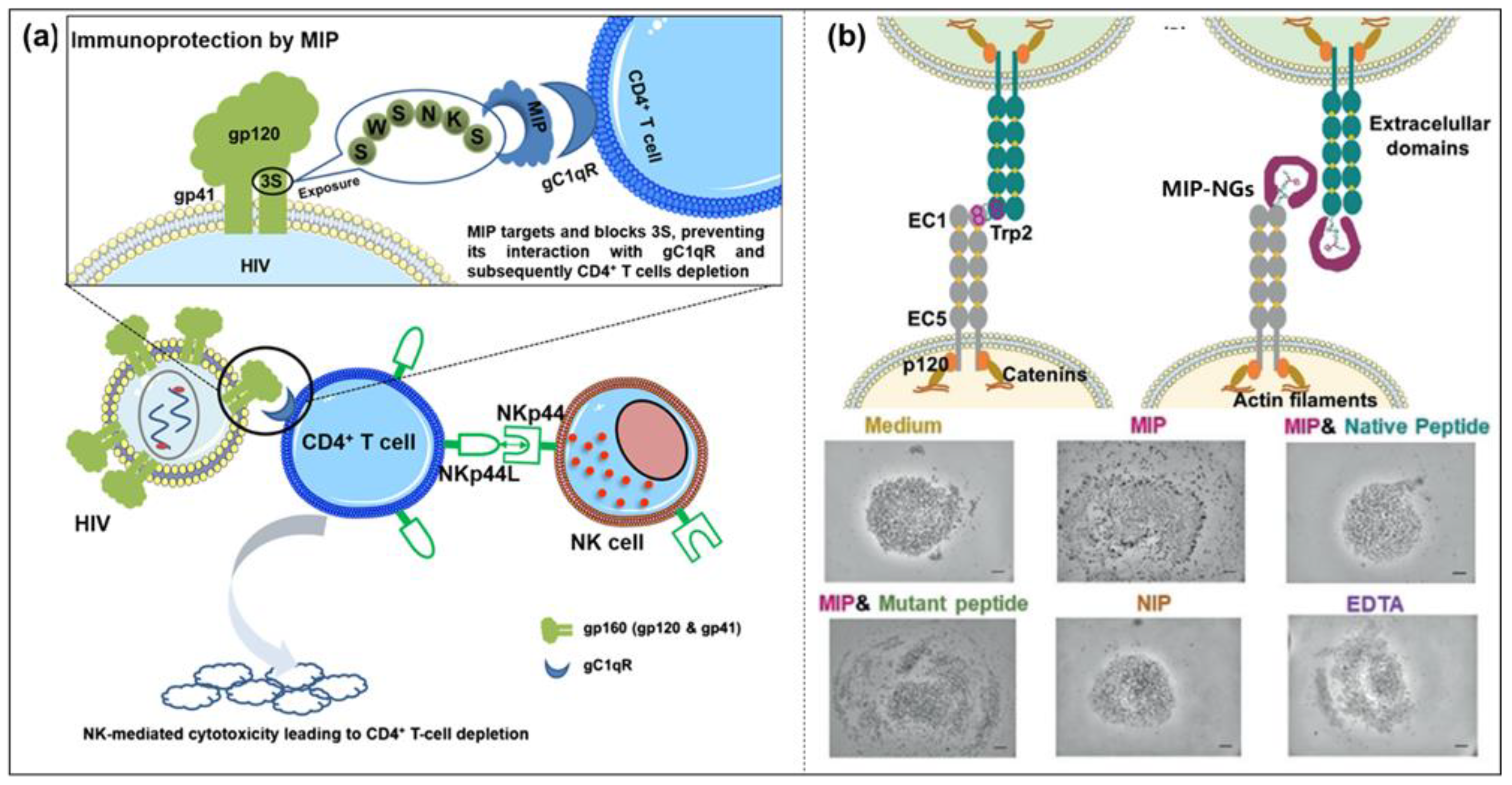 Molecules 28 00918 g013 Molecules 28 00918 g013