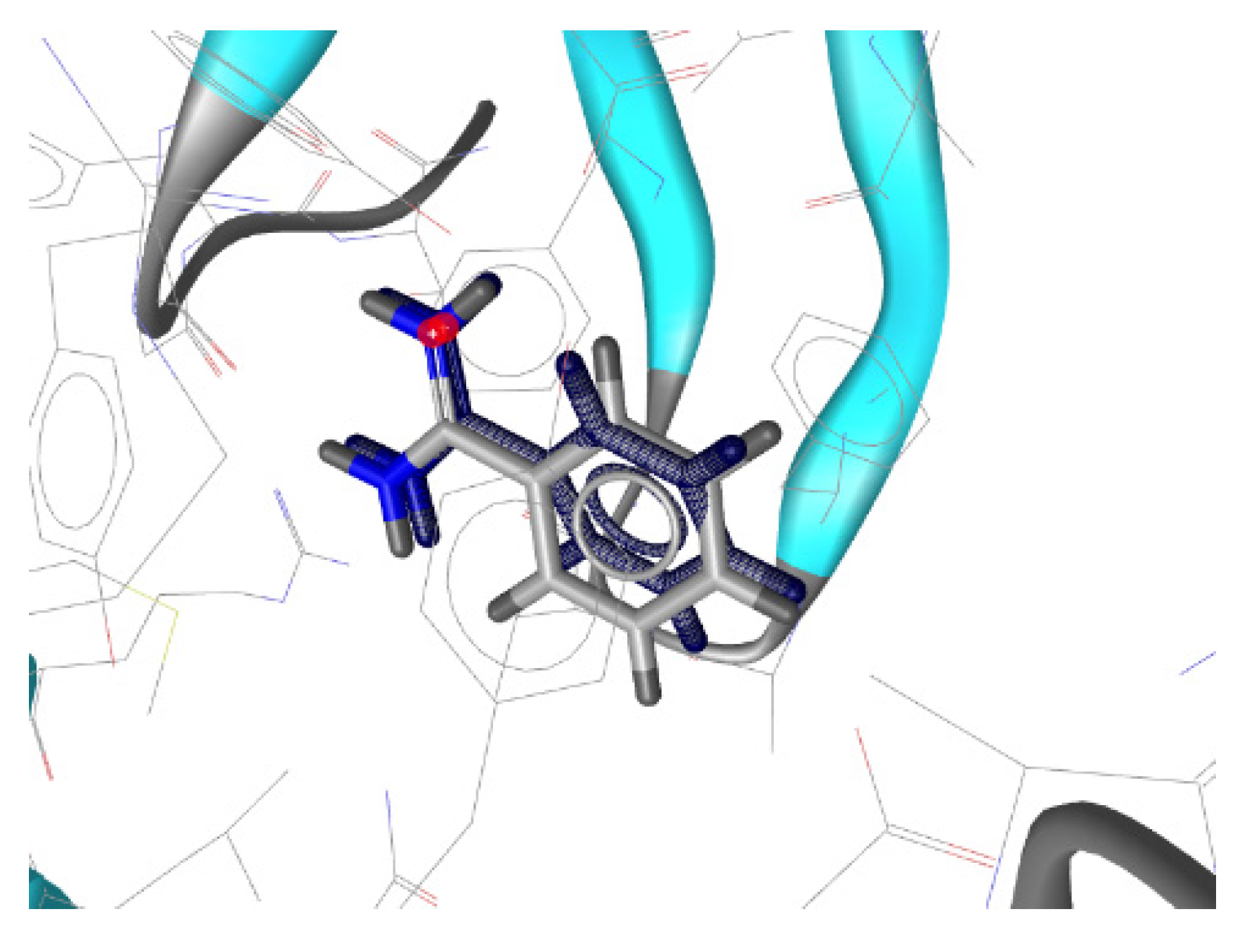 Molecules 28 00921 g007 Molecules 28 00921 g007
