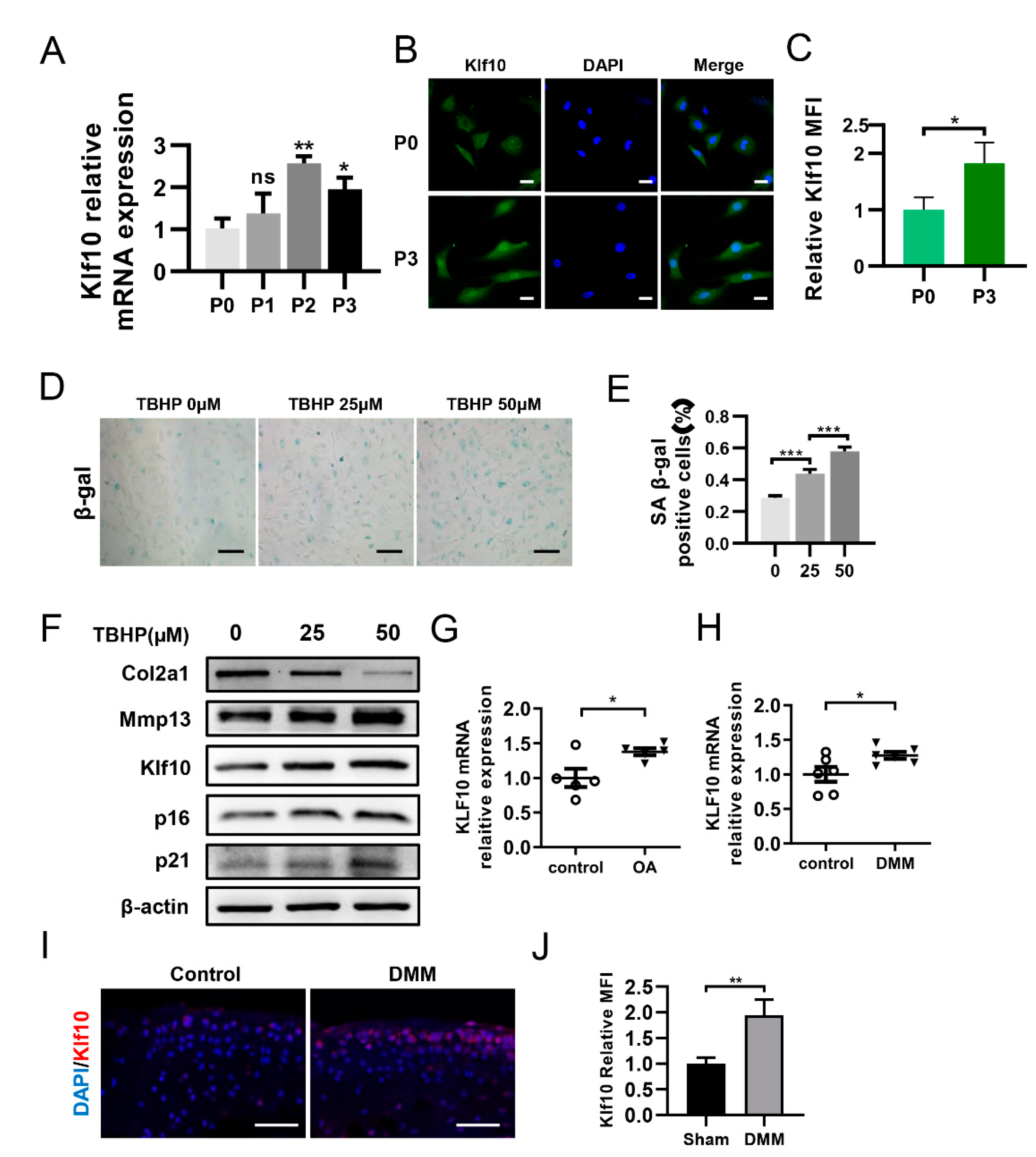 Molecules 28 00924 g001