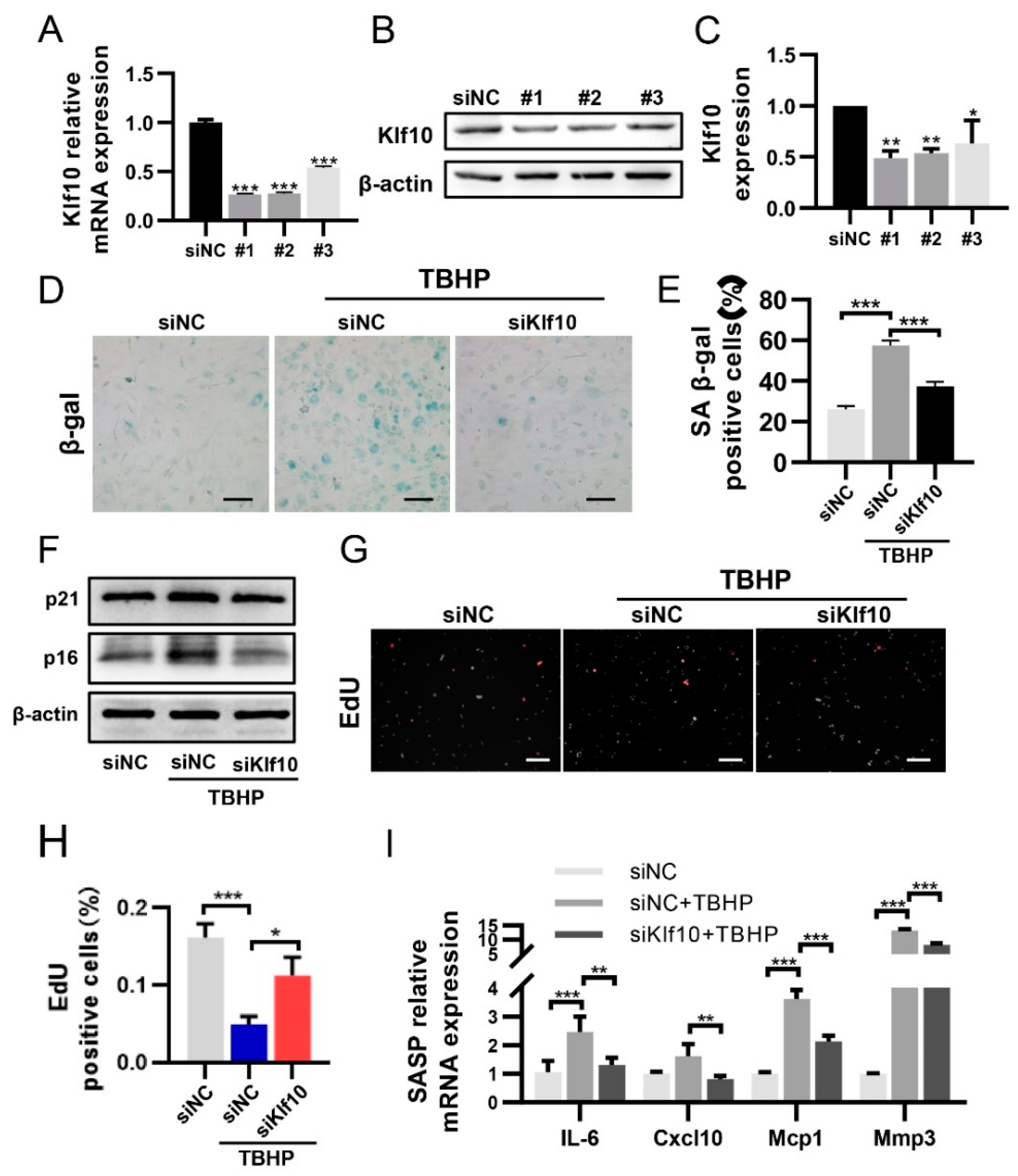 Molecules 28 00924 g002