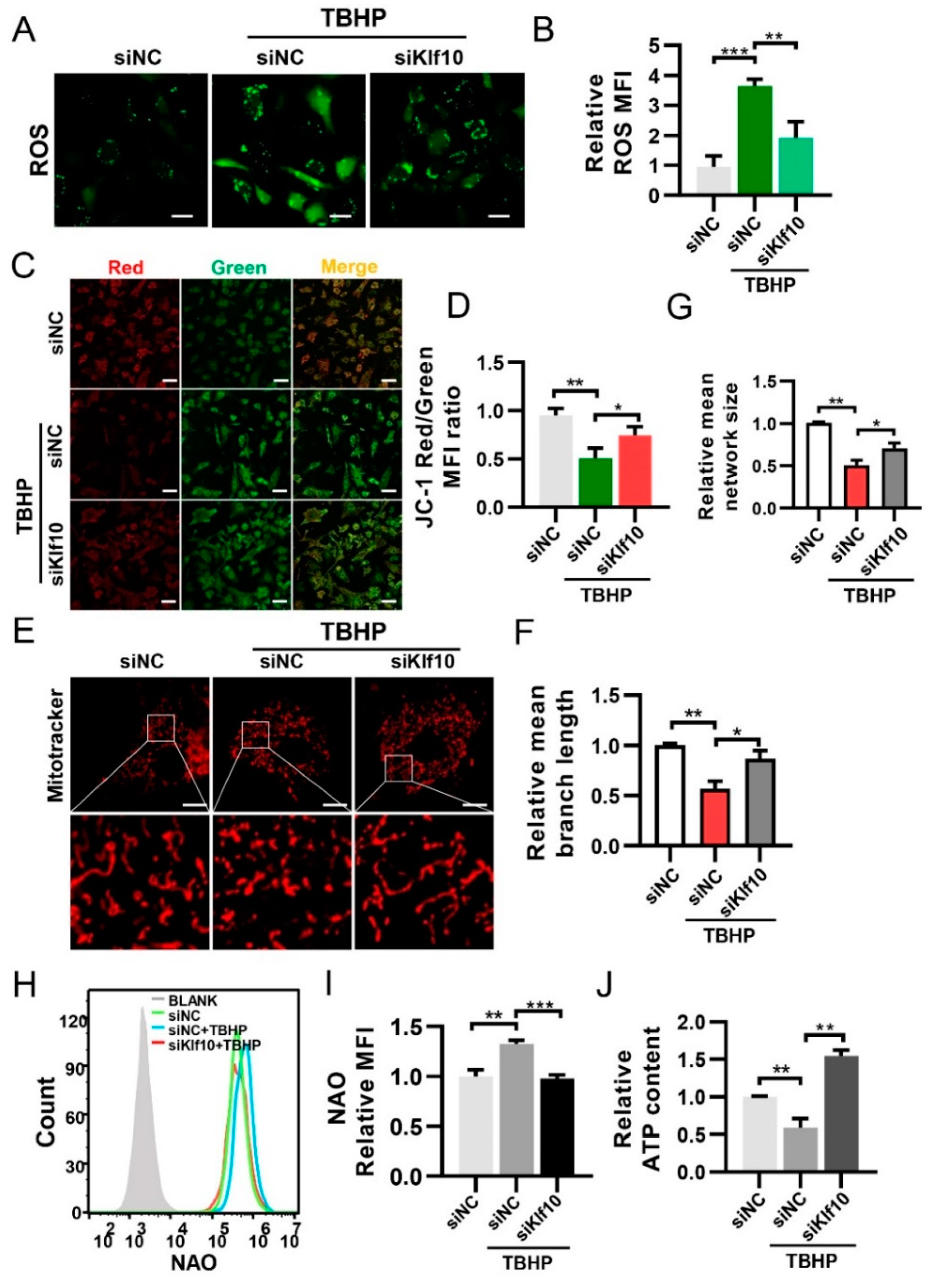 Molecules 28 00924 g003