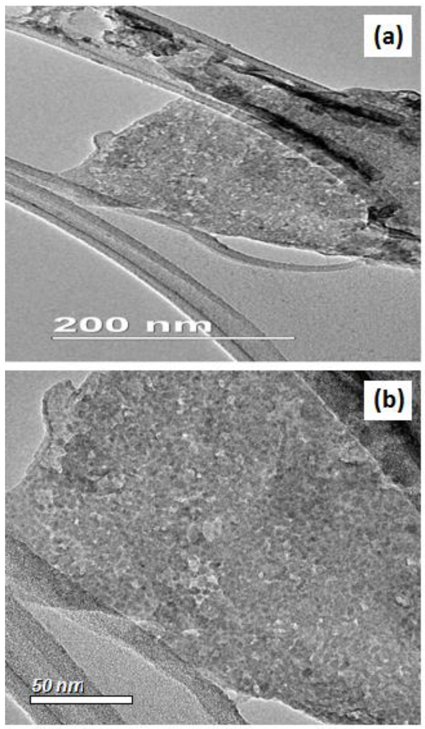 Molecules 28 00926 g002 Molecules 28 00926 g002