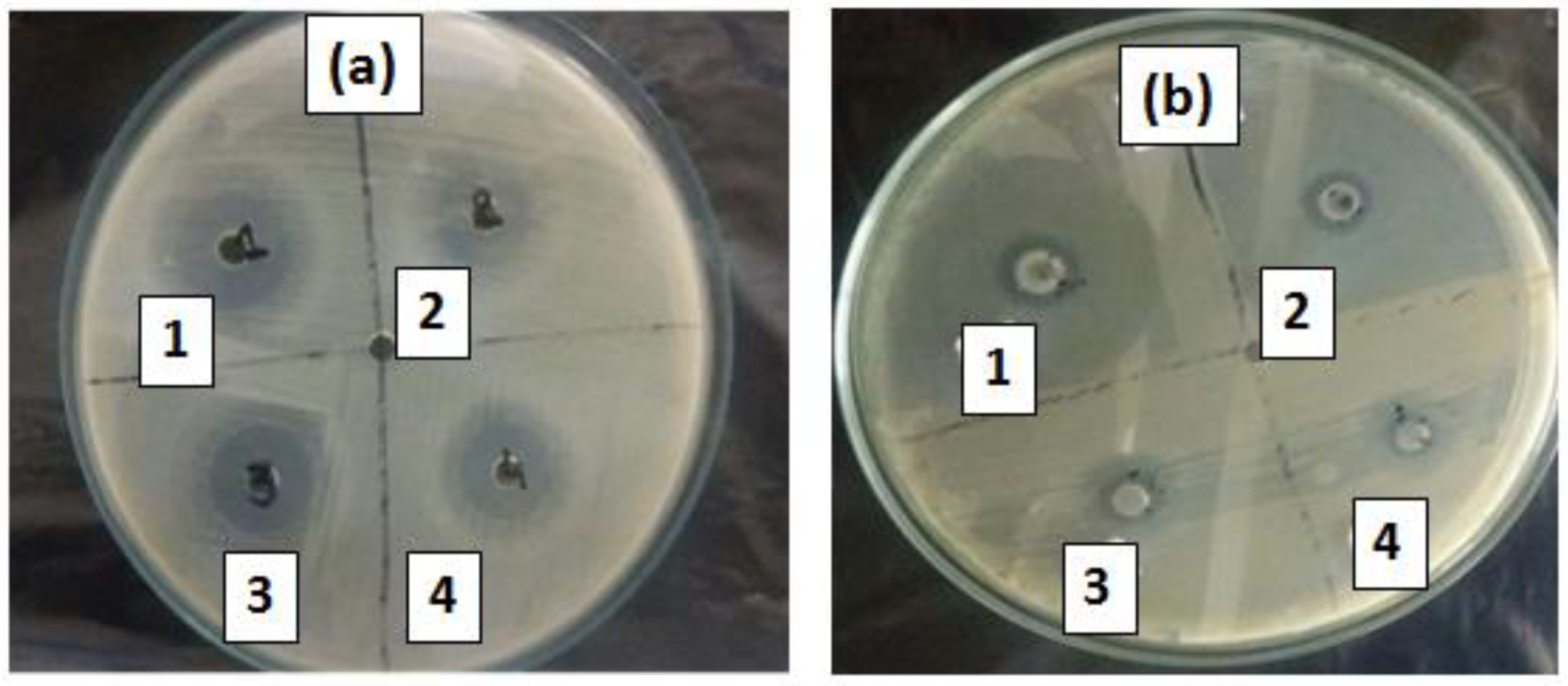 Molecules 28 00926 g009 Molecules 28 00926 g009