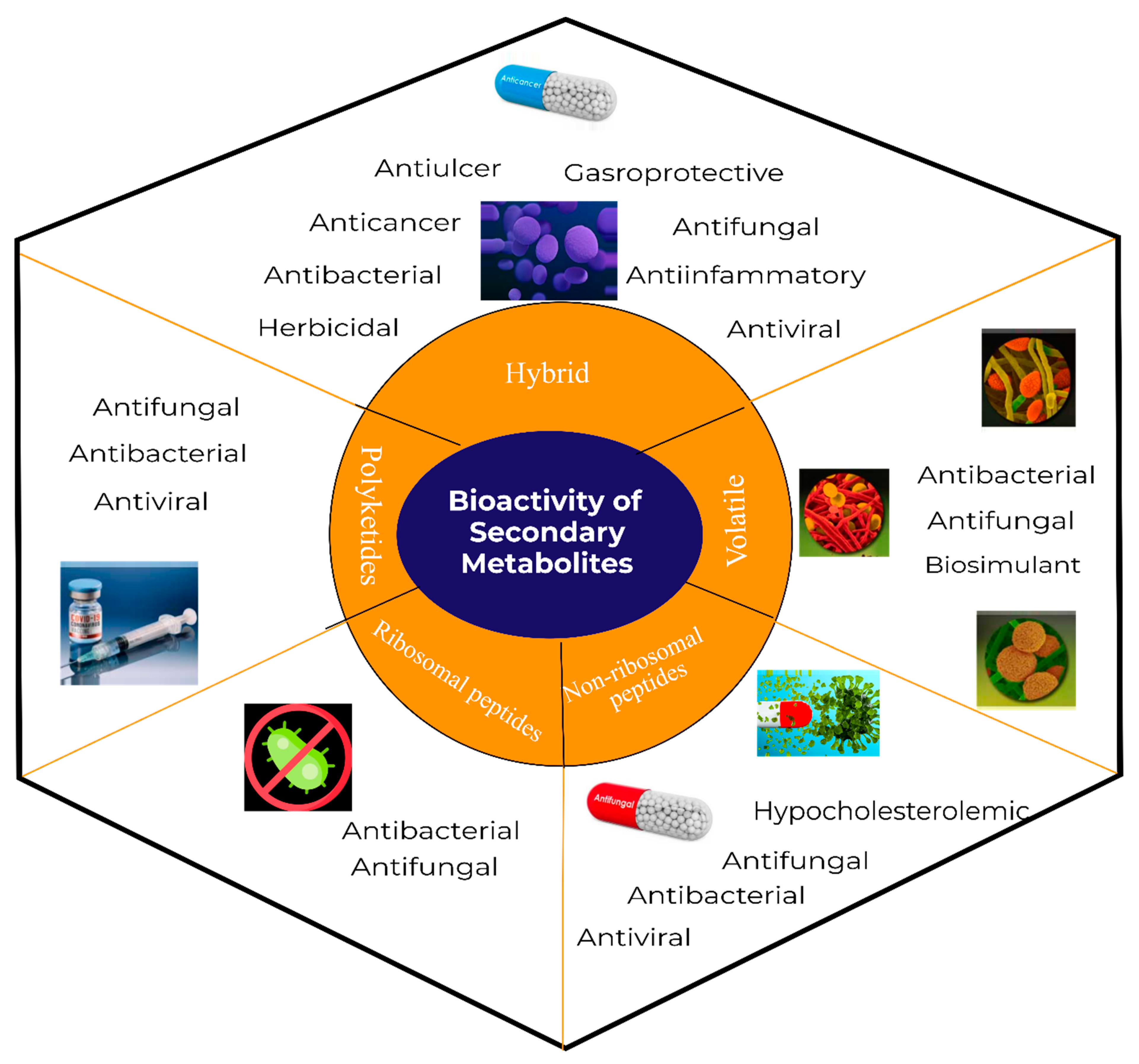 Molecules 28 00927 g003