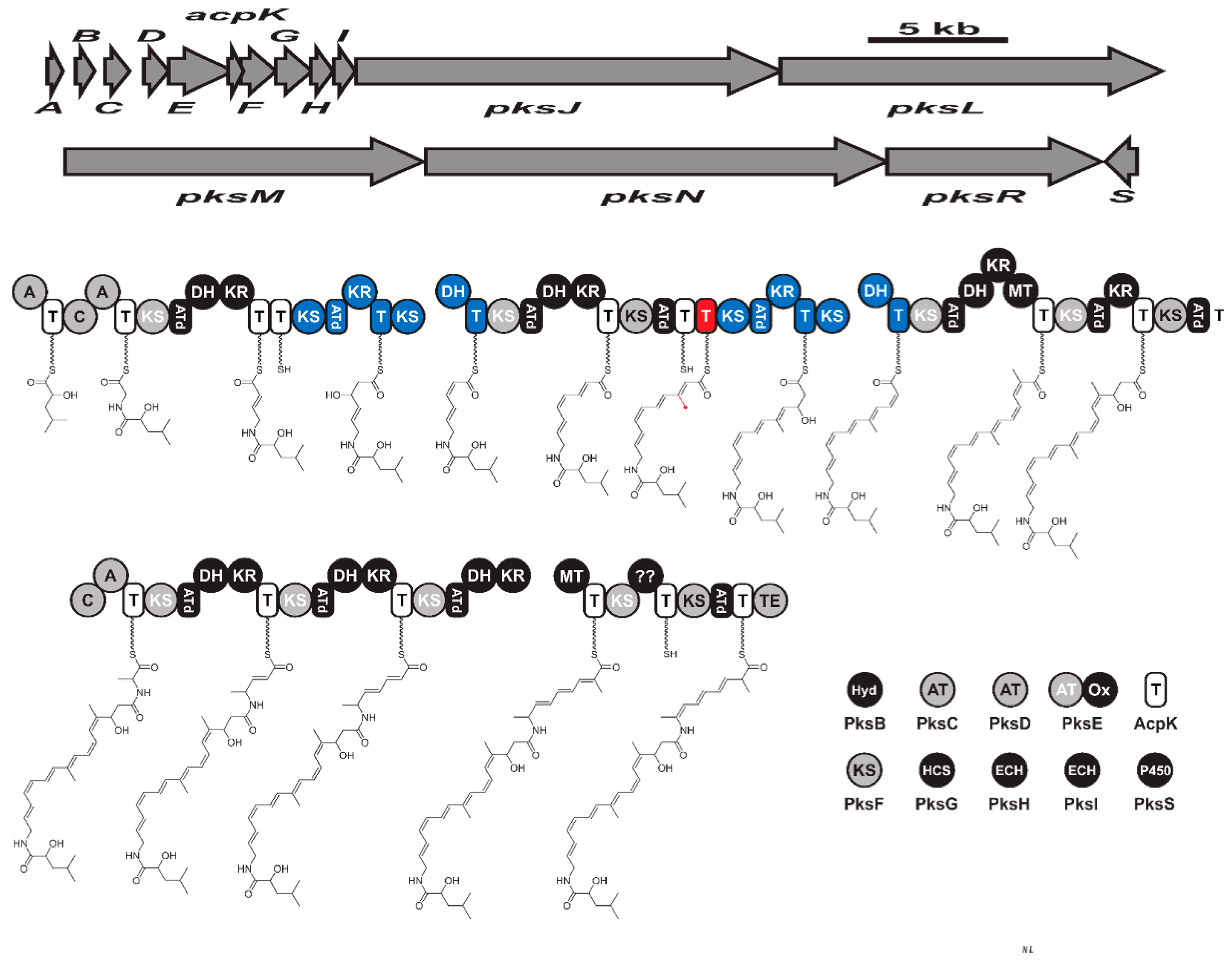 Molecules 28 00927 g006