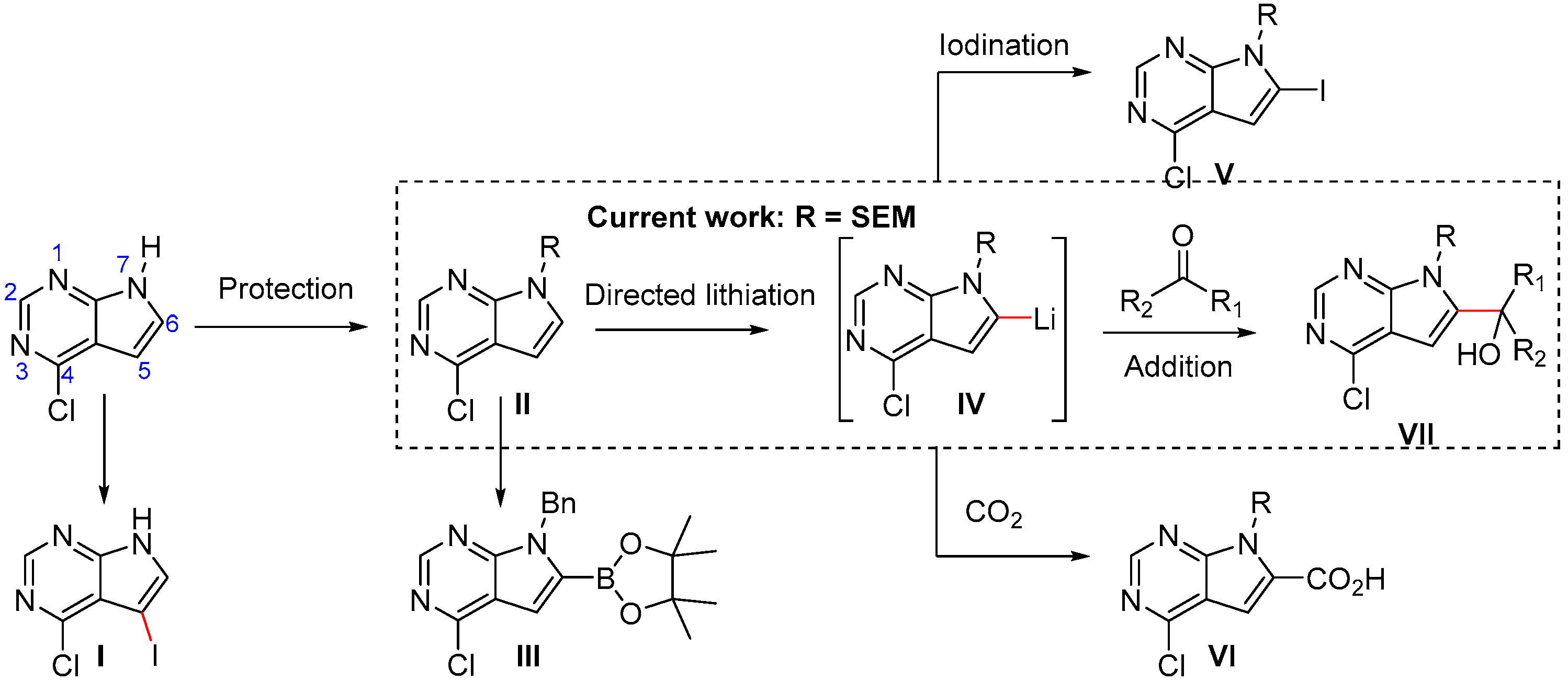 Molecules 28 00932 sch001