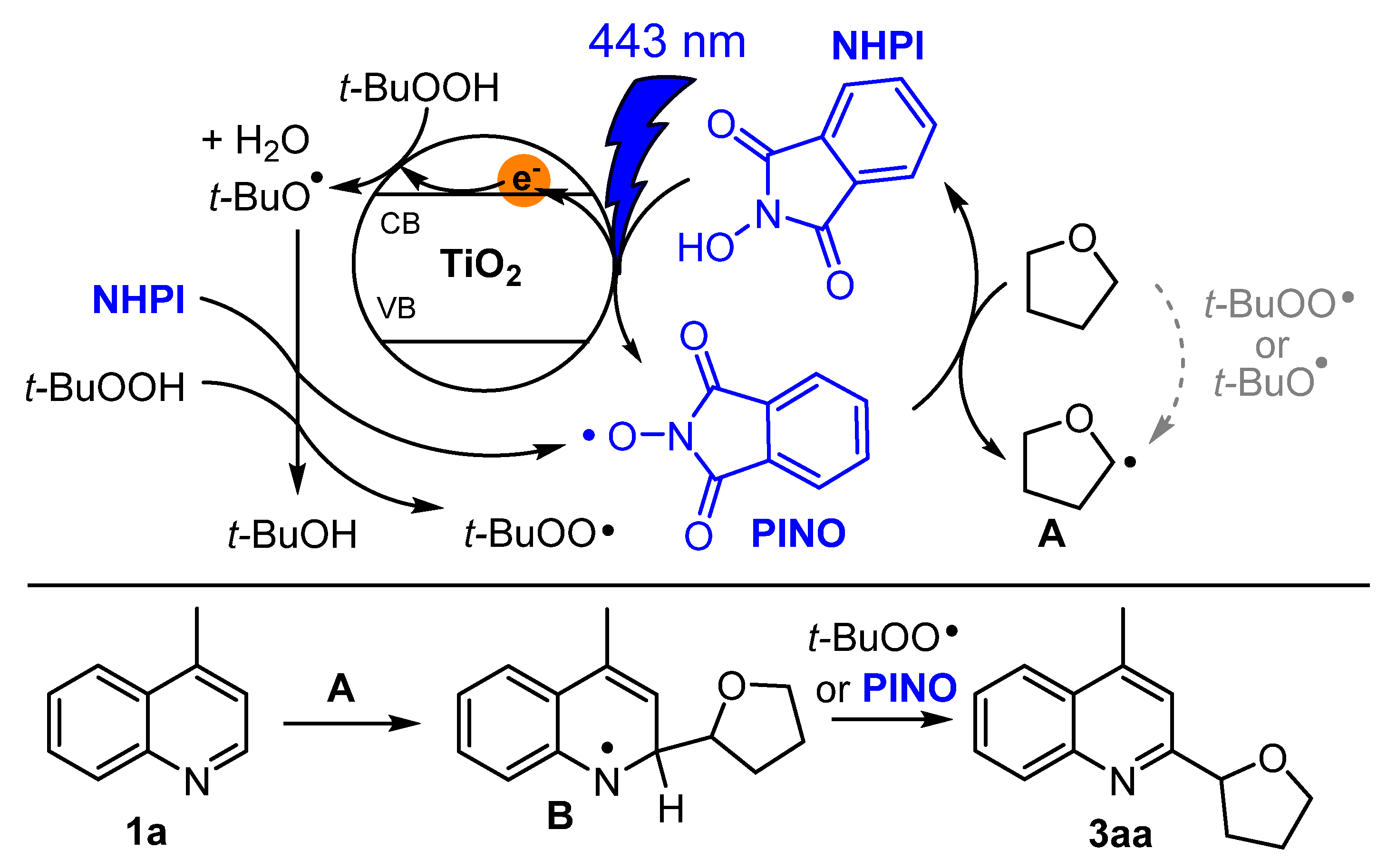 Molecules 28 00934 sch005 Molecules 28 00934 sch005