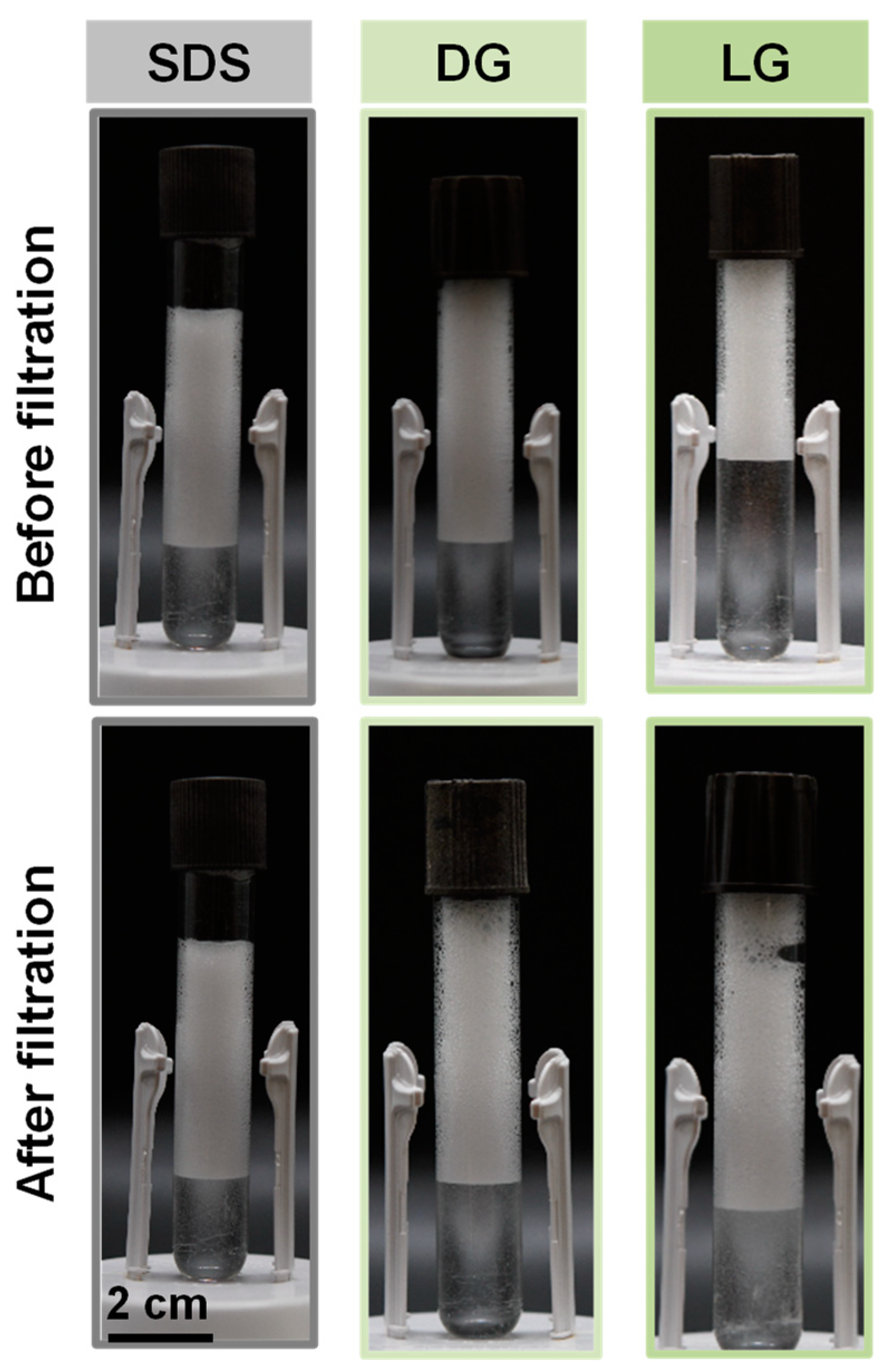 Molecules 28 00936 g006 Molecules 28 00936 g006