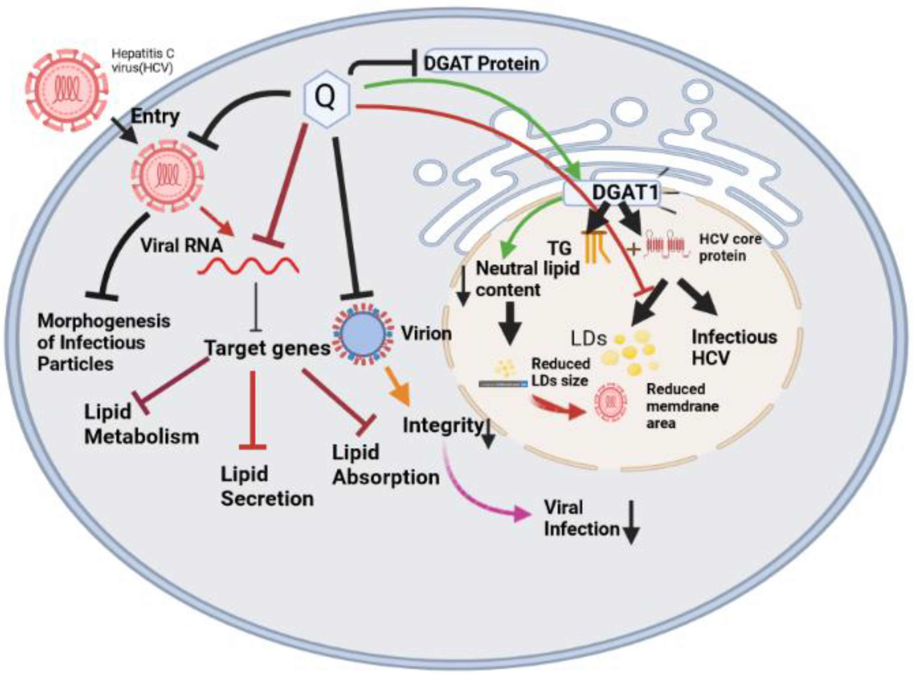 Molecules 28 00938 g003 Molecules 28 00938 g003