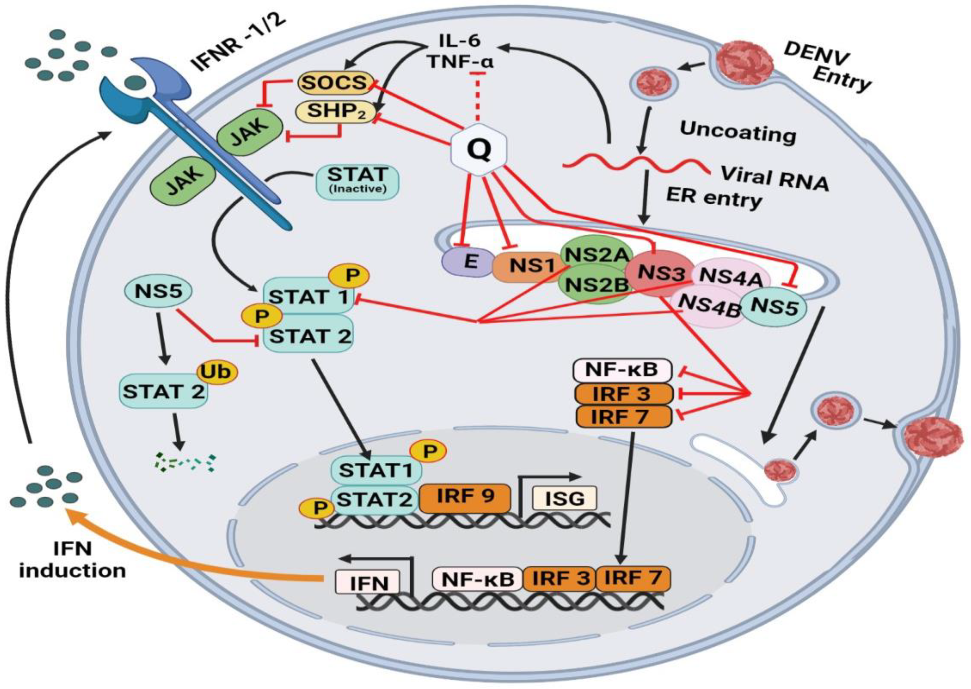 Molecules 28 00938 g004 Molecules 28 00938 g004