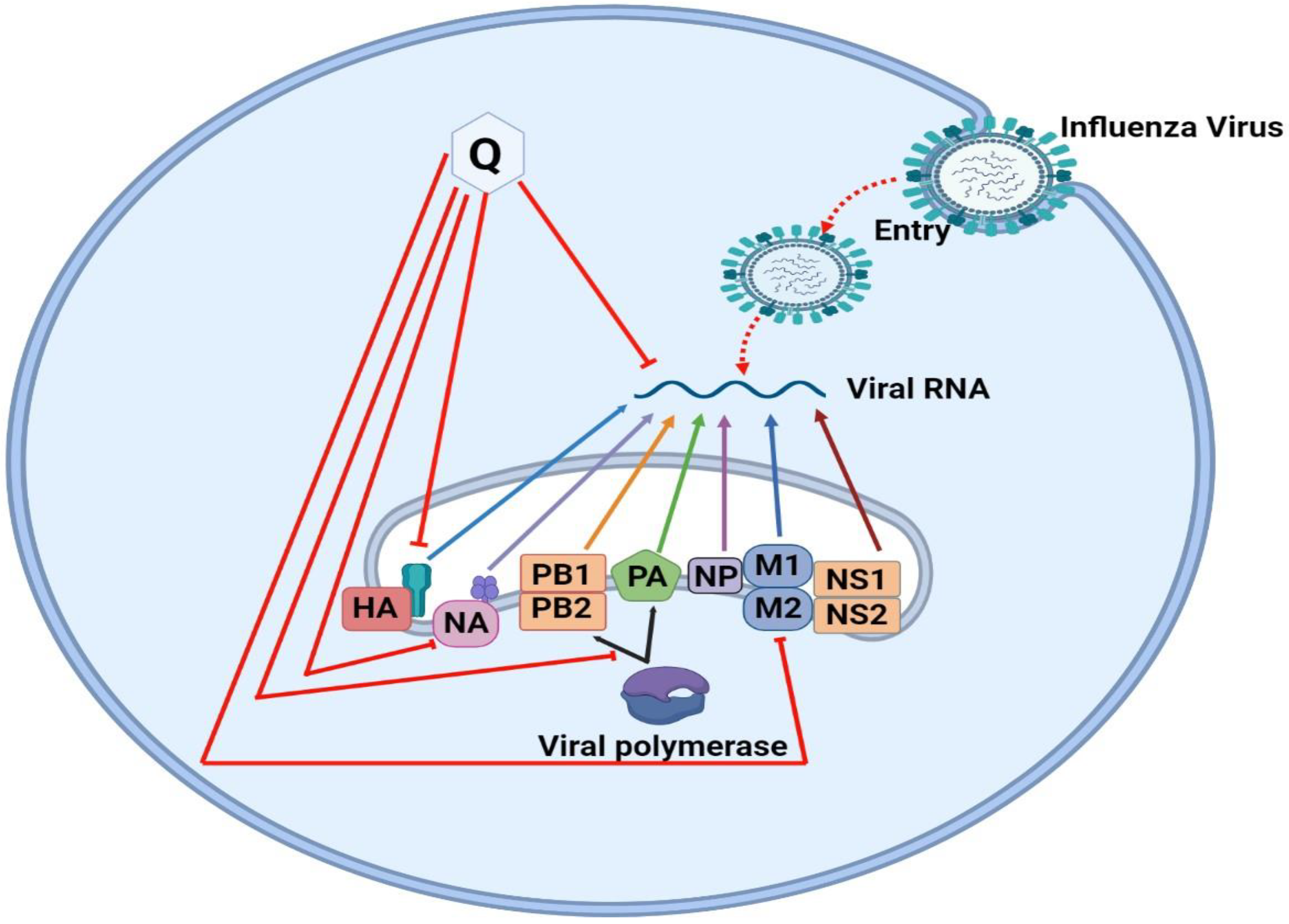 Molecules 28 00938 g005 Molecules 28 00938 g005