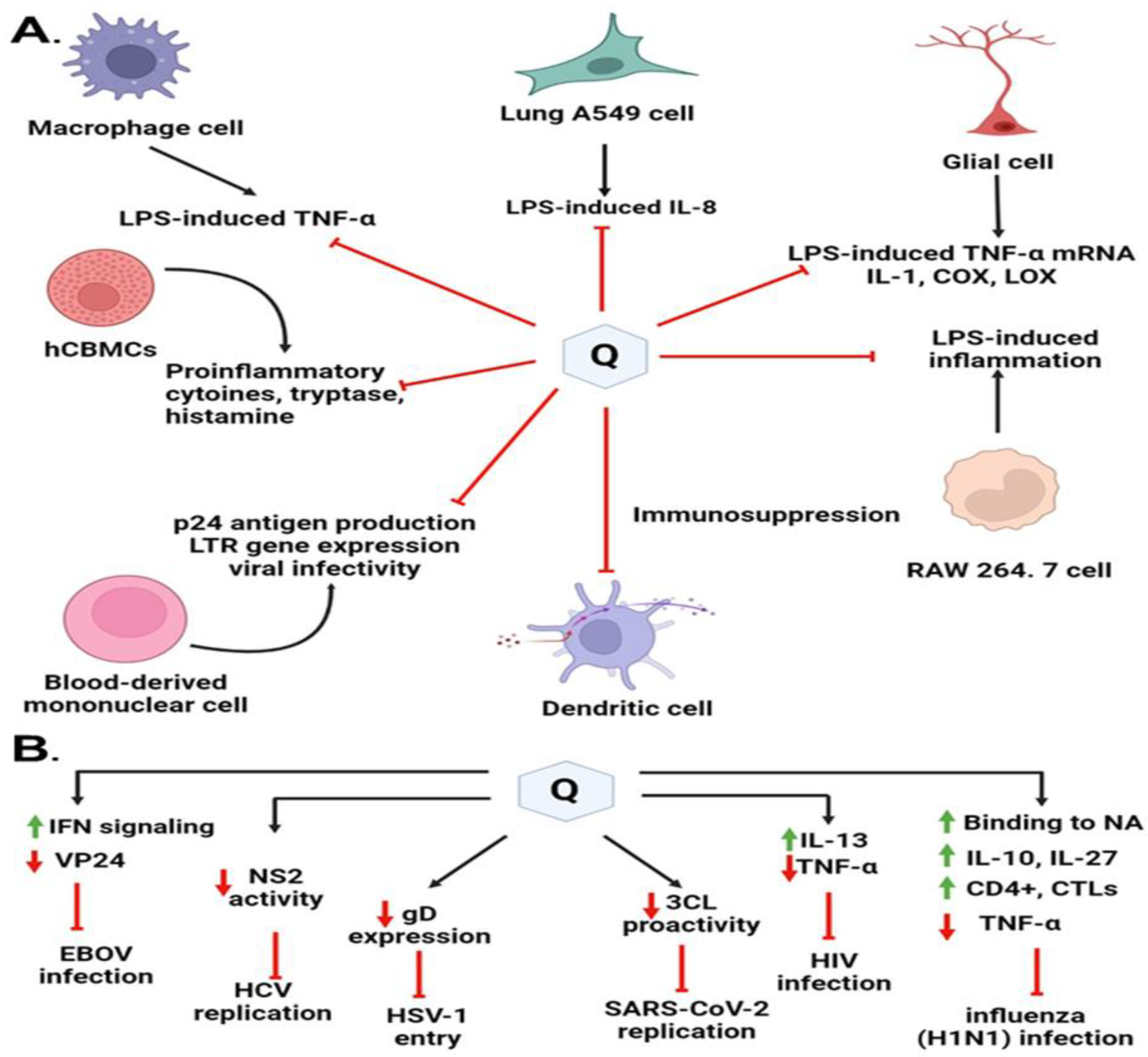 Molecules 28 00938 g007 Molecules 28 00938 g007