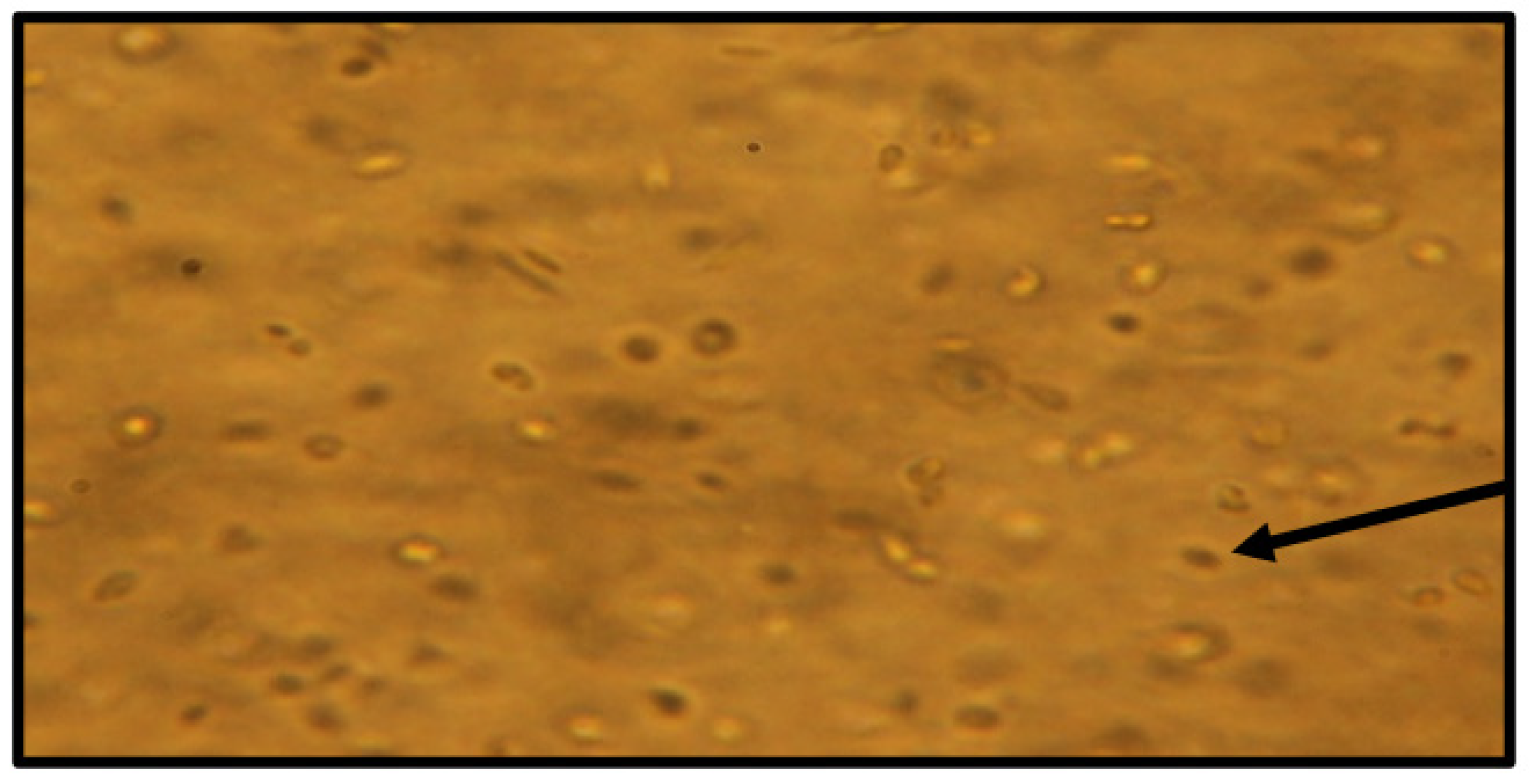 Molecules 28 00946 g010 Molecules 28 00946 g010