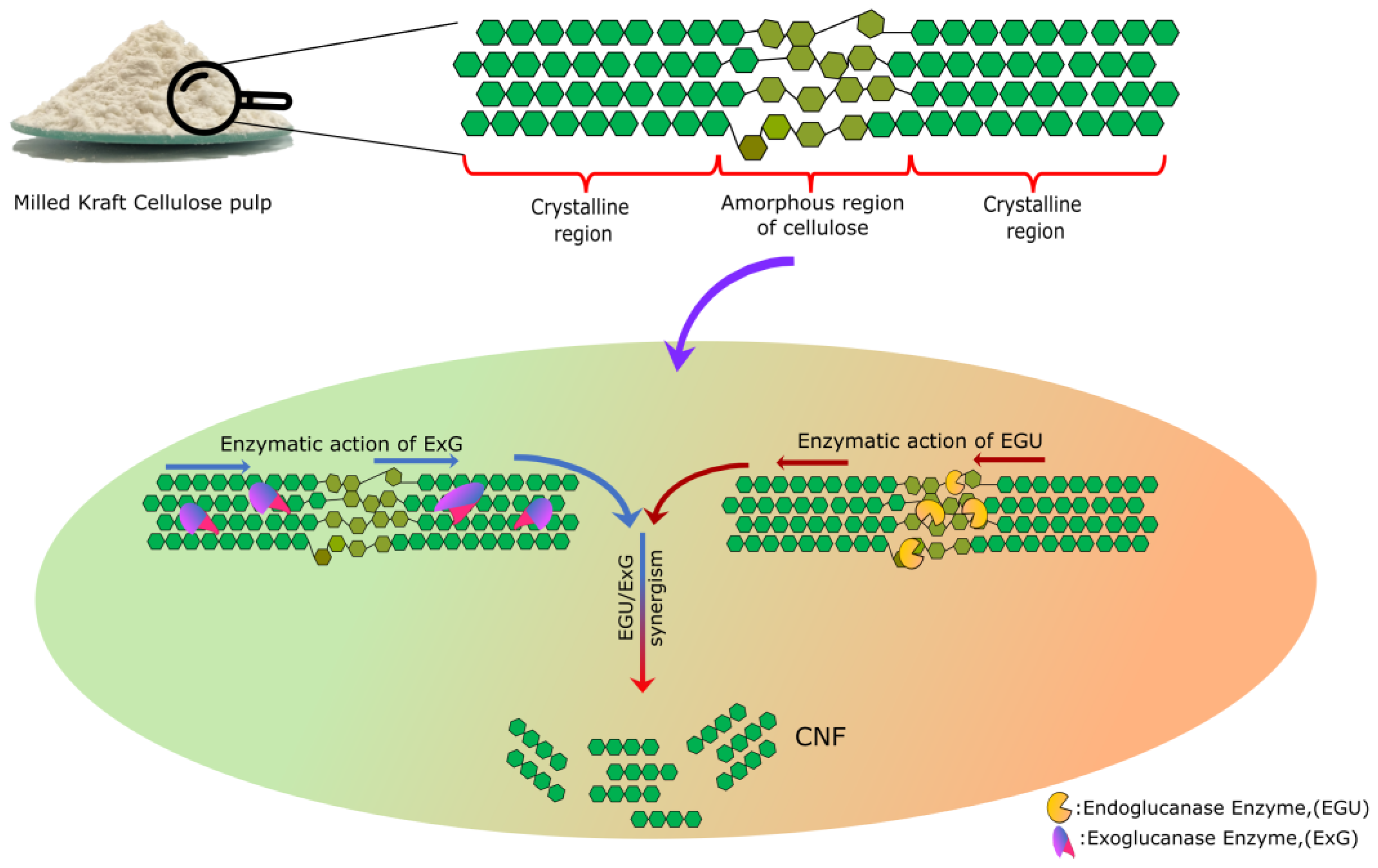 Molecules 28 00948 g001