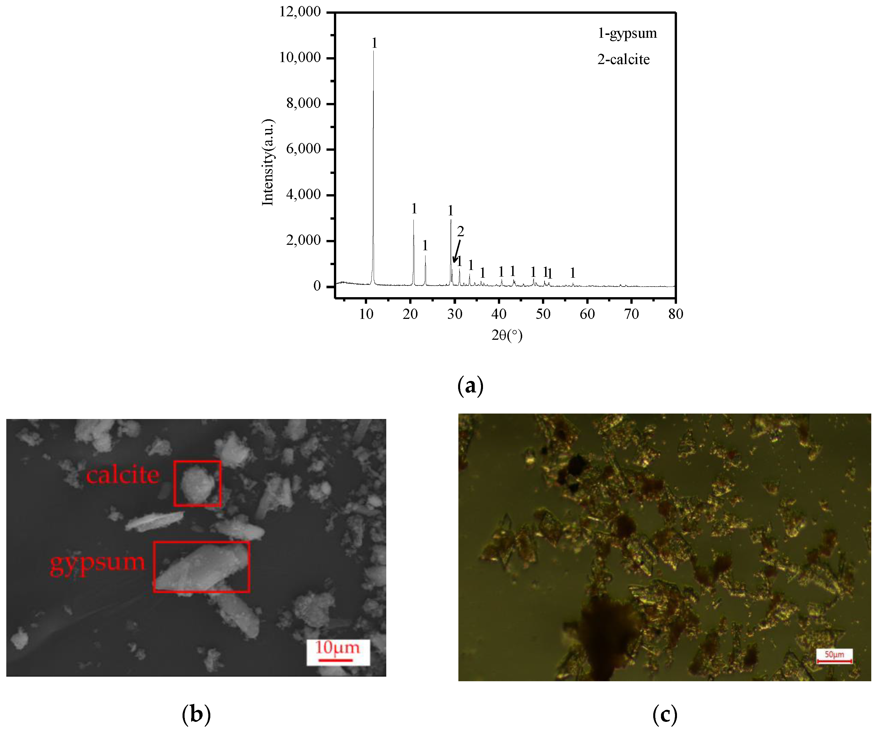 Molecules 28 00952 g001