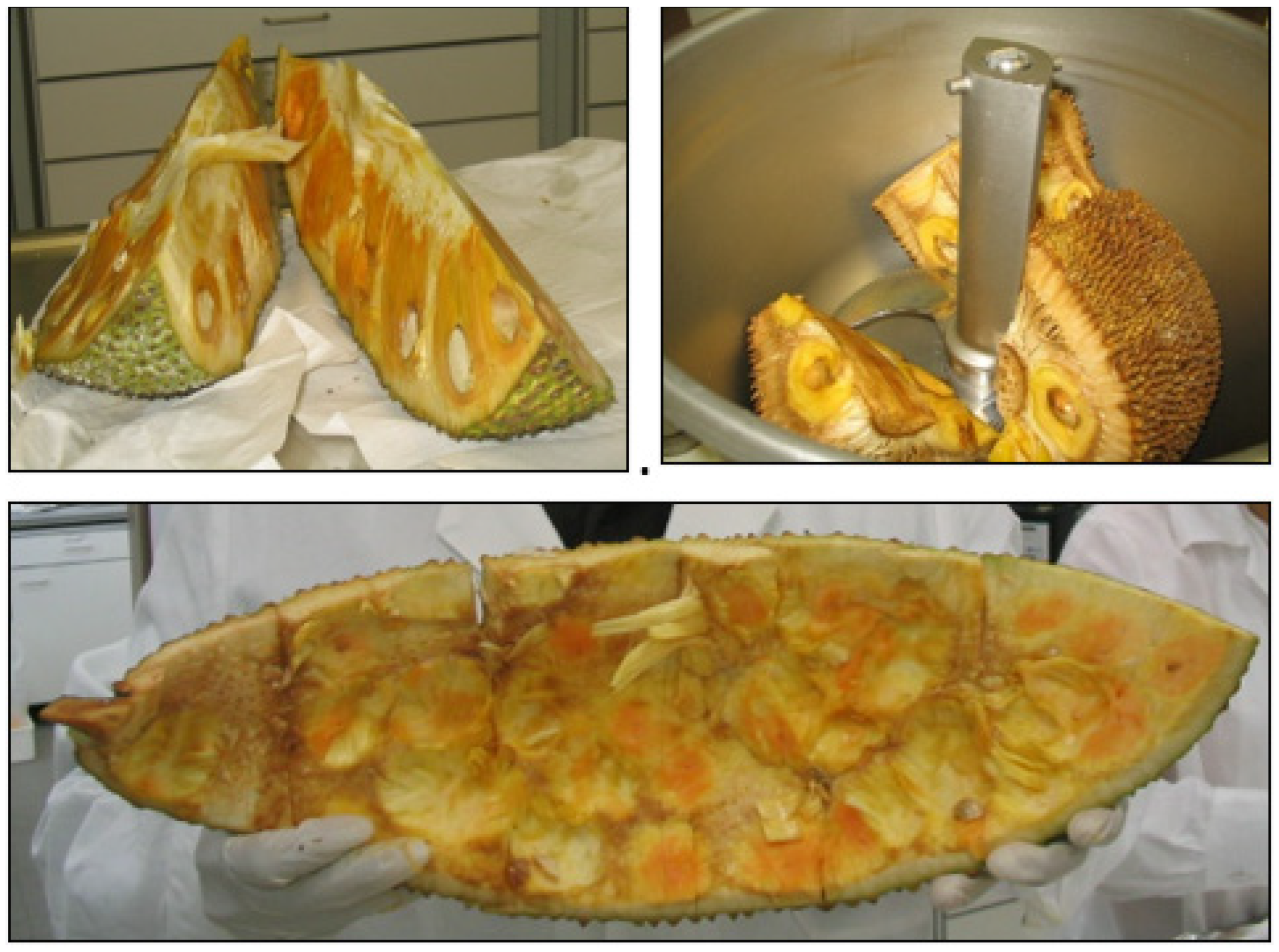 Molecules 28 00954 g002 Molecules 28 00954 g002