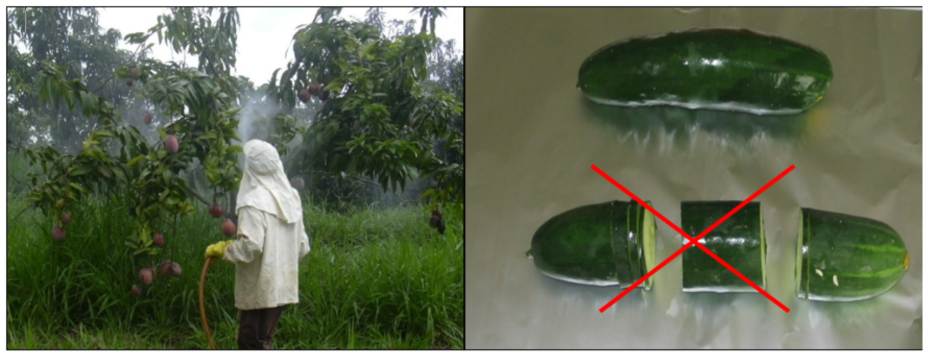 Molecules 28 00954 g003 Molecules 28 00954 g003